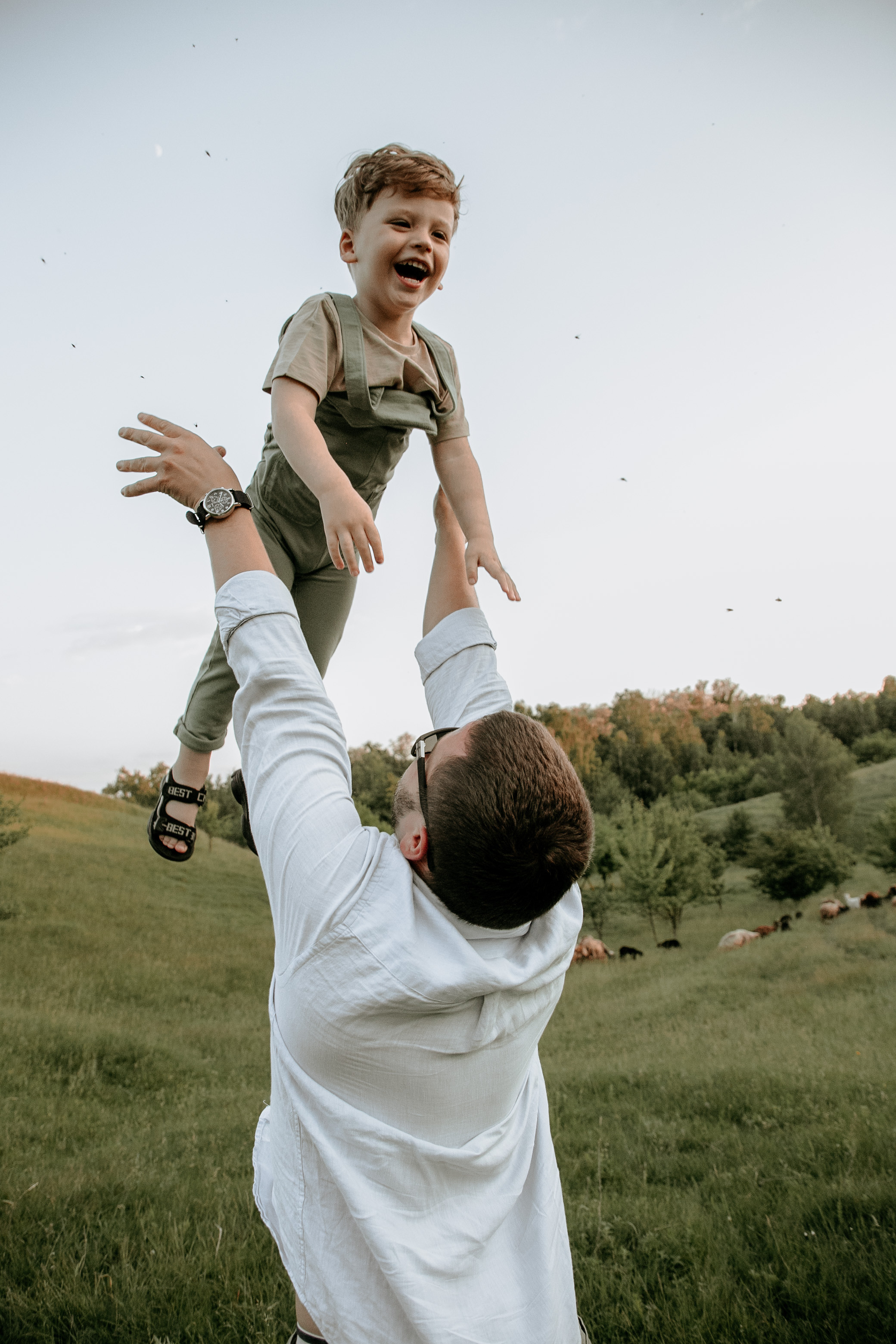 Sheepland. Wedding and family photographer