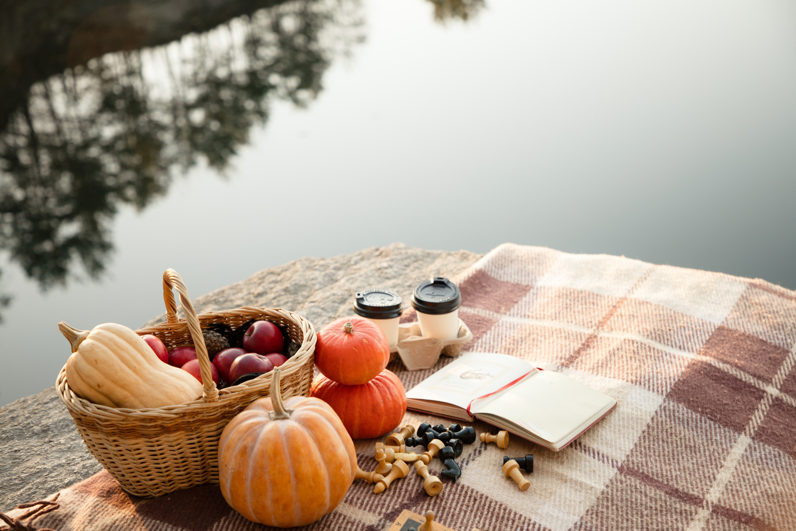 Cozy autumn. Wedding and family photographer