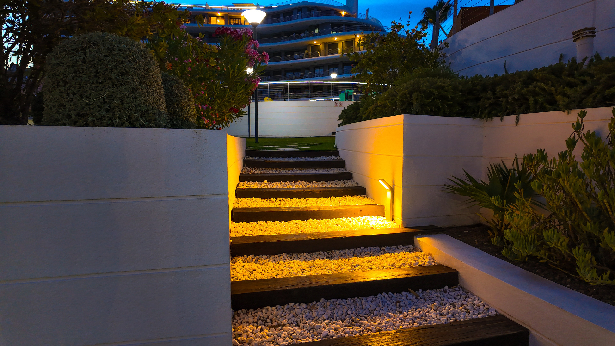 Dream I&M GROUP. Baby Beast