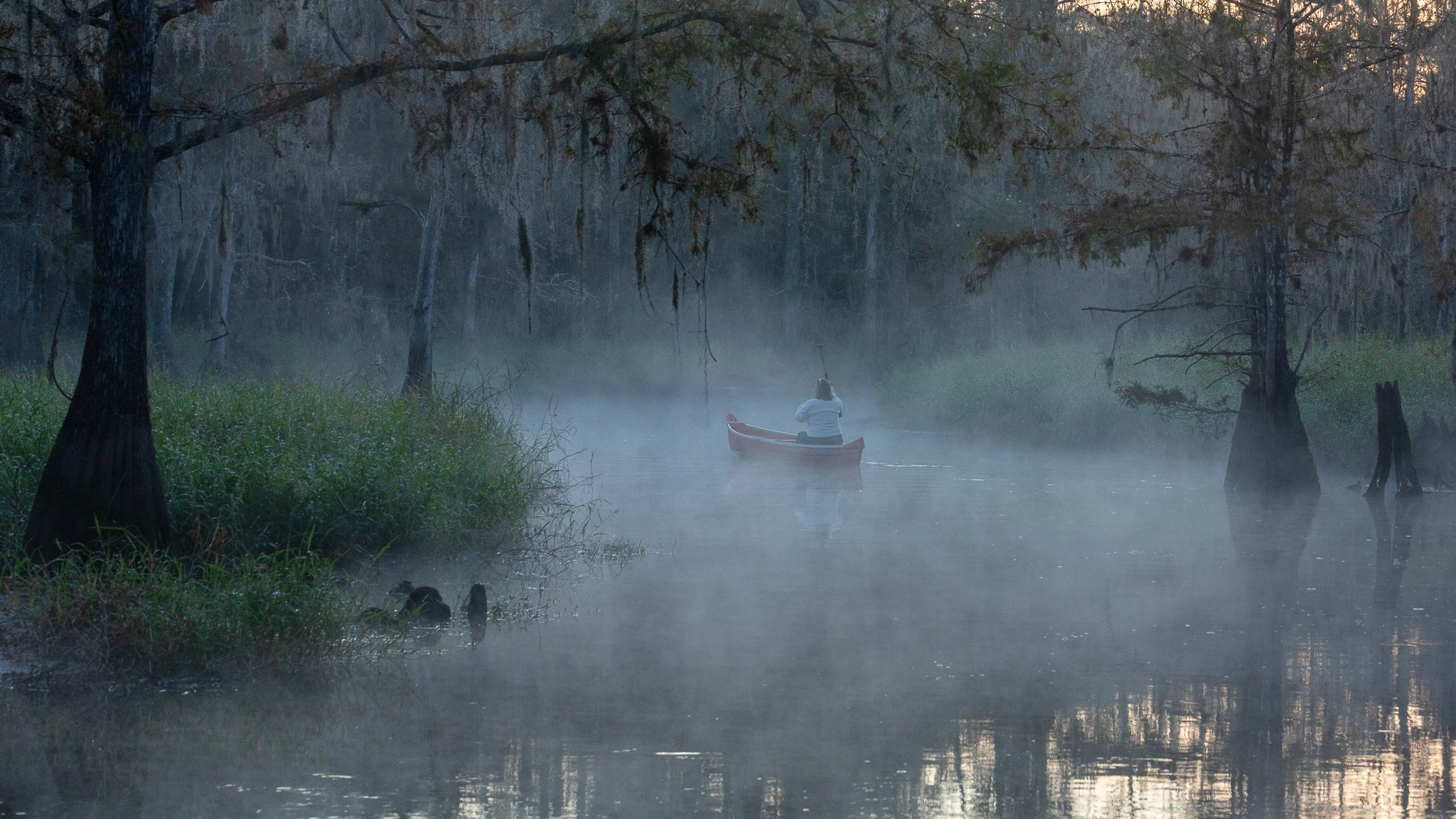 Exploring True Florida: Springs, Rivers & Manatees by Canoe. Pet, Senior, Landscape, portrait studio, photographer in Miami and Sou