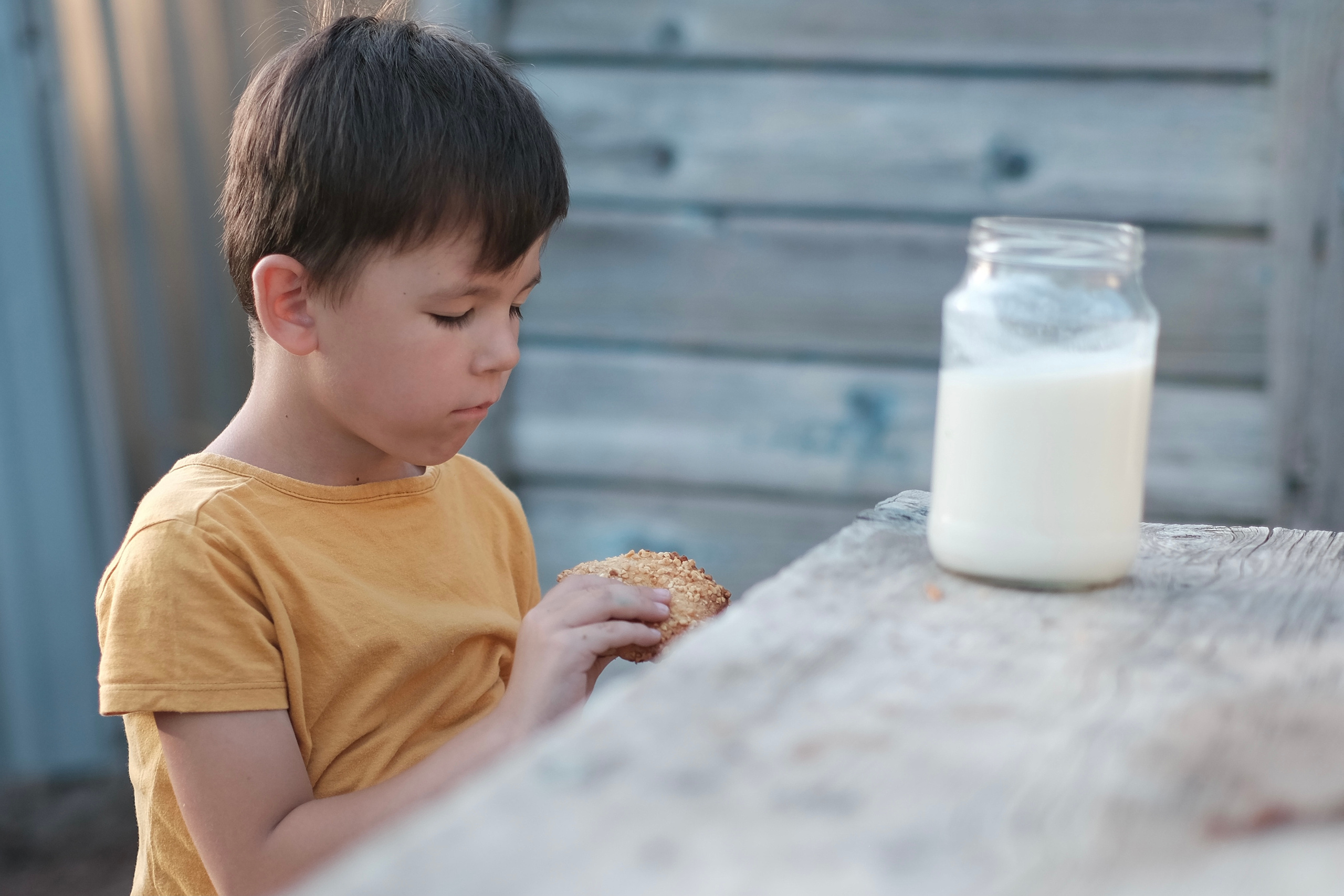 Bauern- & Landwirt-Lifestyle Fotografie | Authentische Bilder vom Landleben | Albina Vaniyants. Professionelle Familienfotografie, Kinderfotografie und Portraitfotografie in Linz, Oberösterreich - Albina Vaniyants, Fotografin aus OÖ