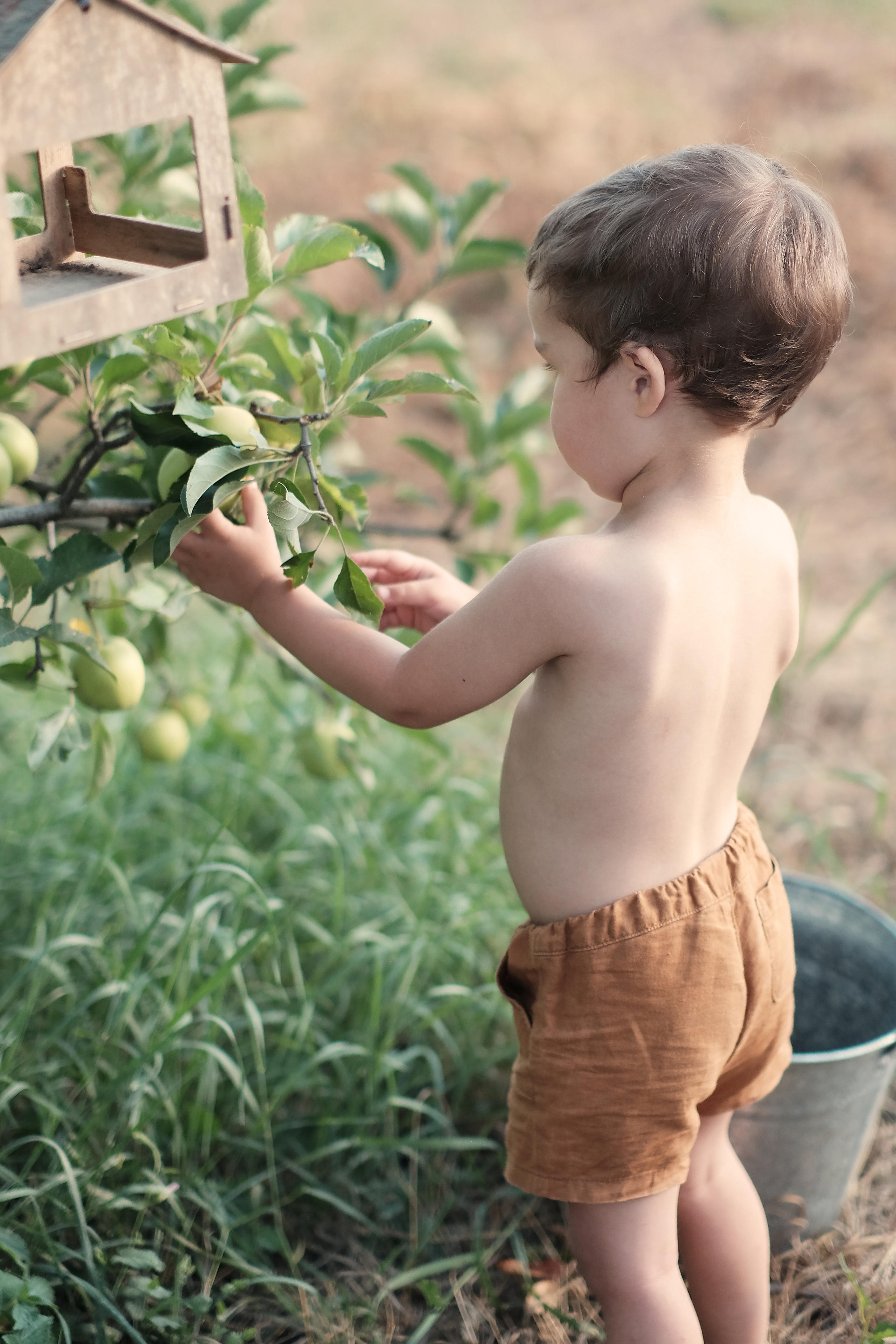 Bauern- & Landwirt-Lifestyle Fotografie | Authentische Bilder vom Landleben | Albina Vaniyants. Professionelle Familienfotografie, Kinderfotografie und Portraitfotografie in Linz, Oberösterreich - Albina Vaniyants, Fotografin aus OÖ