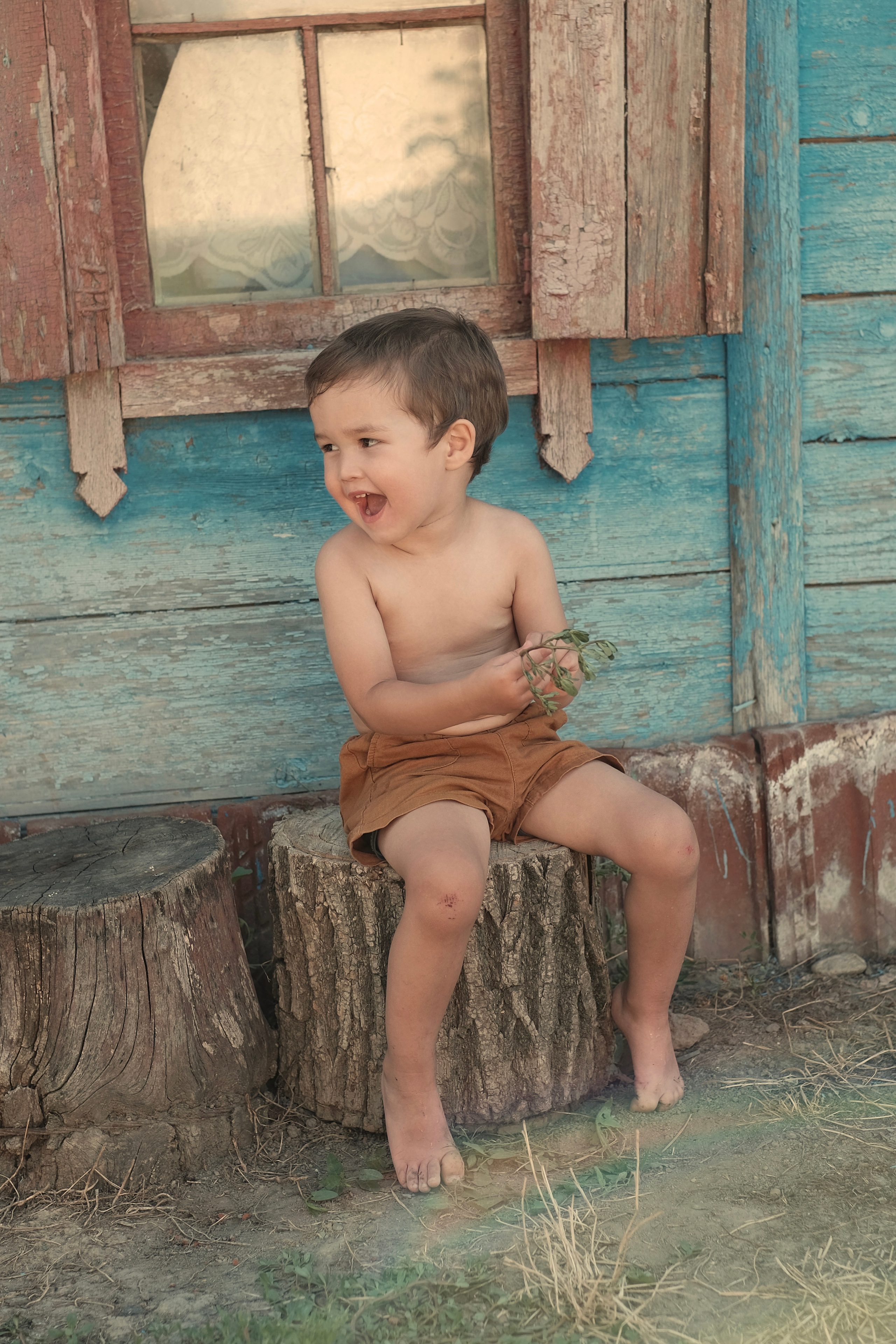 Bauern- & Landwirt-Lifestyle Fotografie | Authentische Bilder vom Landleben | Albina Vaniyants. Professionelle Familienfotografie, Kinderfotografie und Portraitfotografie in Linz, Oberösterreich - Albina Vaniyants, Fotografin aus OÖ