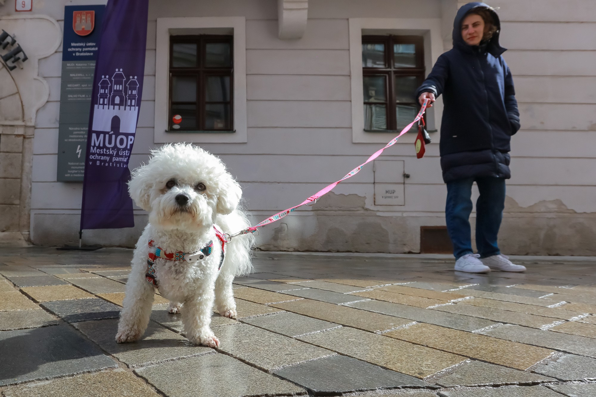 Environment. Reportage photographer Bratislava | Репортажний фотограф Братислава