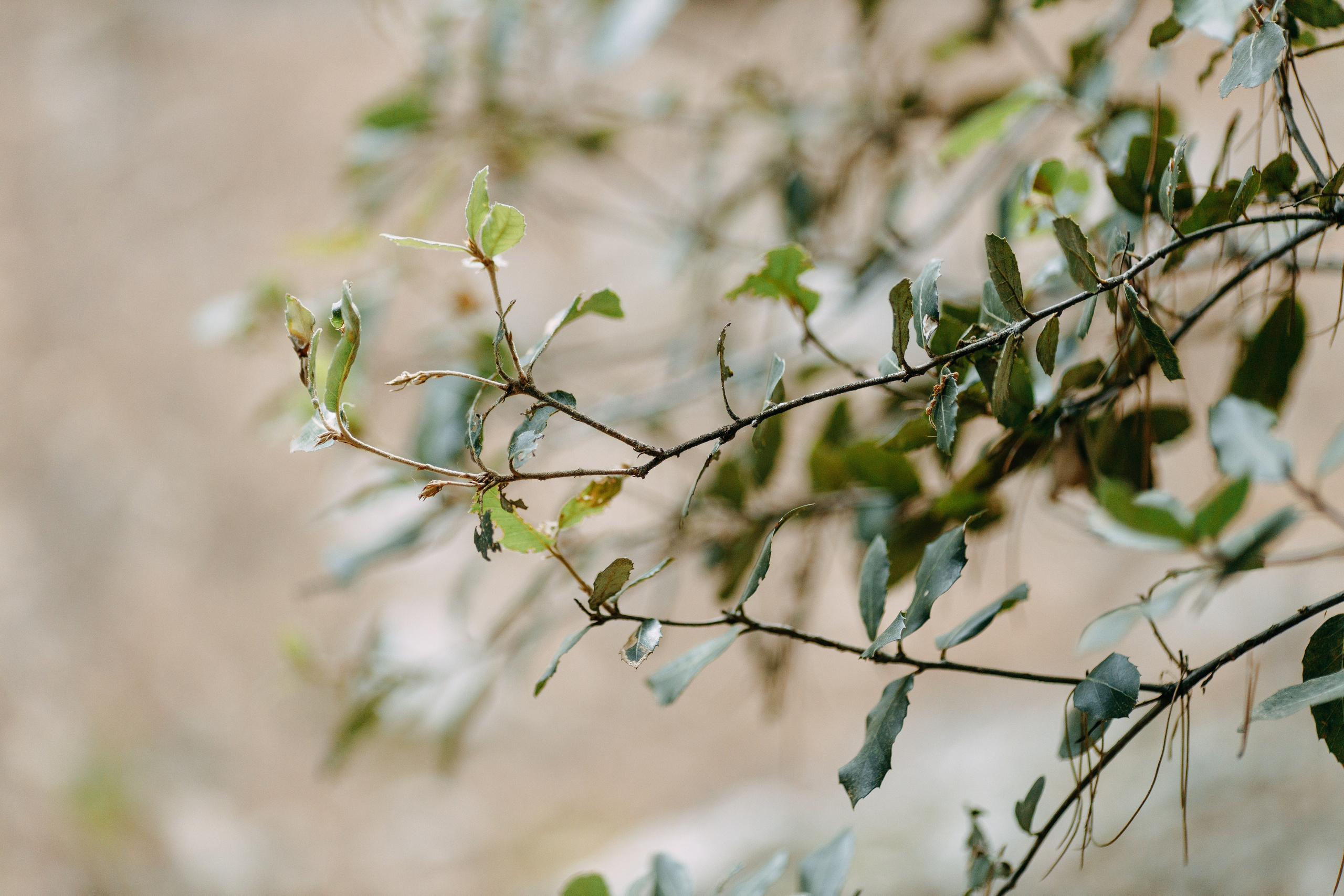 Love Kroatien. Professionele fotografin in Münsingen Olesia Wegele