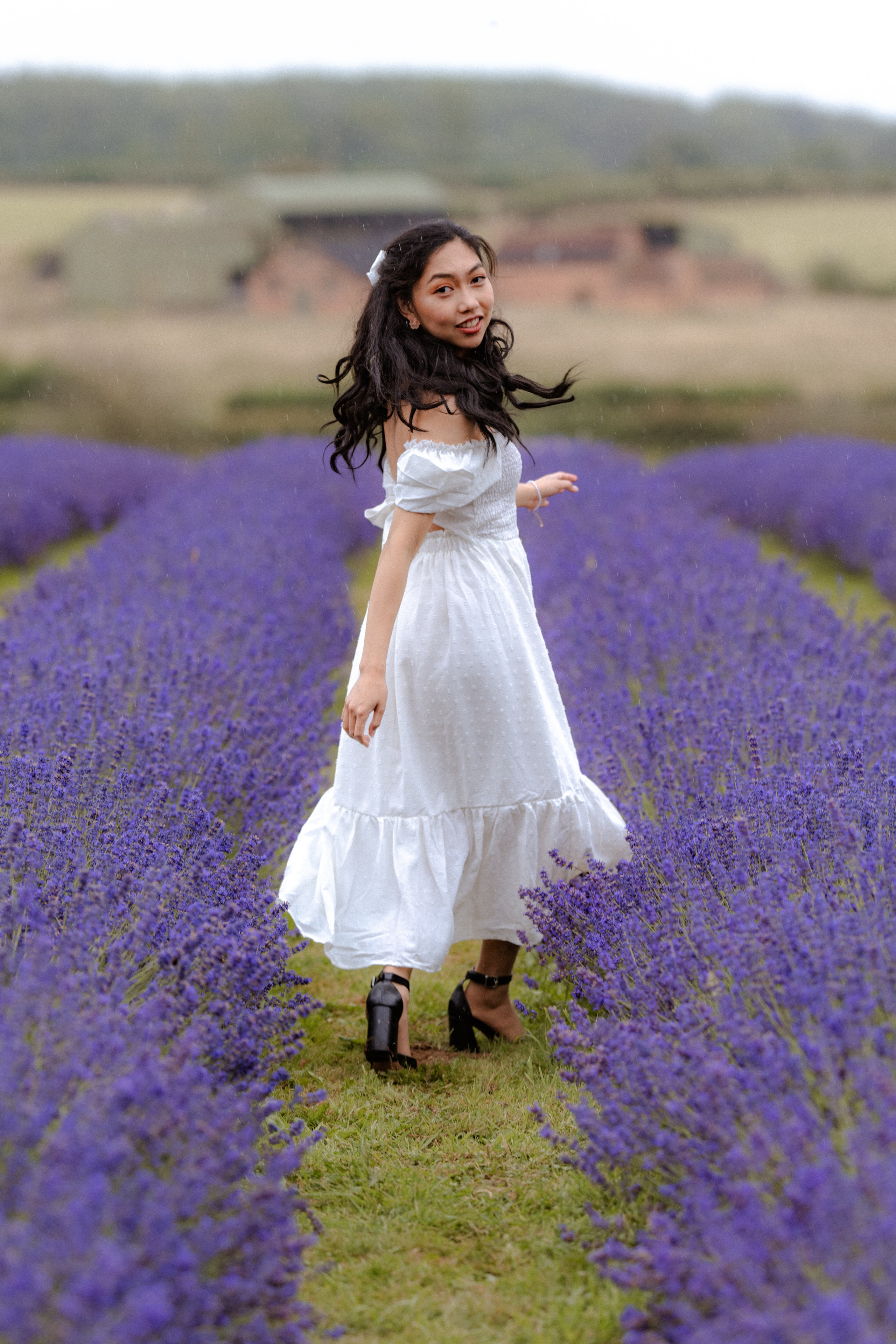A & M Lavender farm. Tania Gandrabur, photographer in West Midlands, England