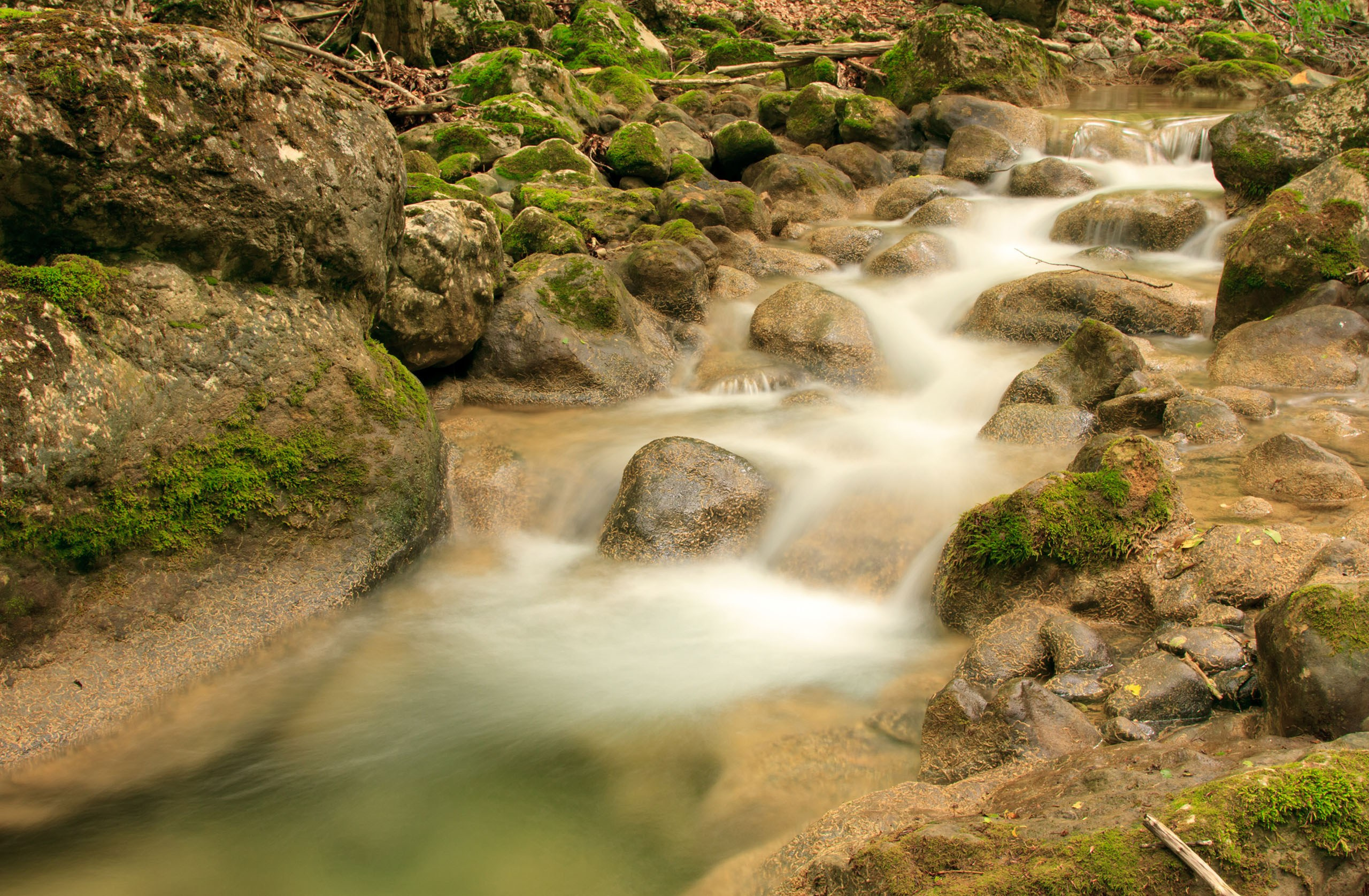 Пейзаж. Фотограф Игорь Баранюк