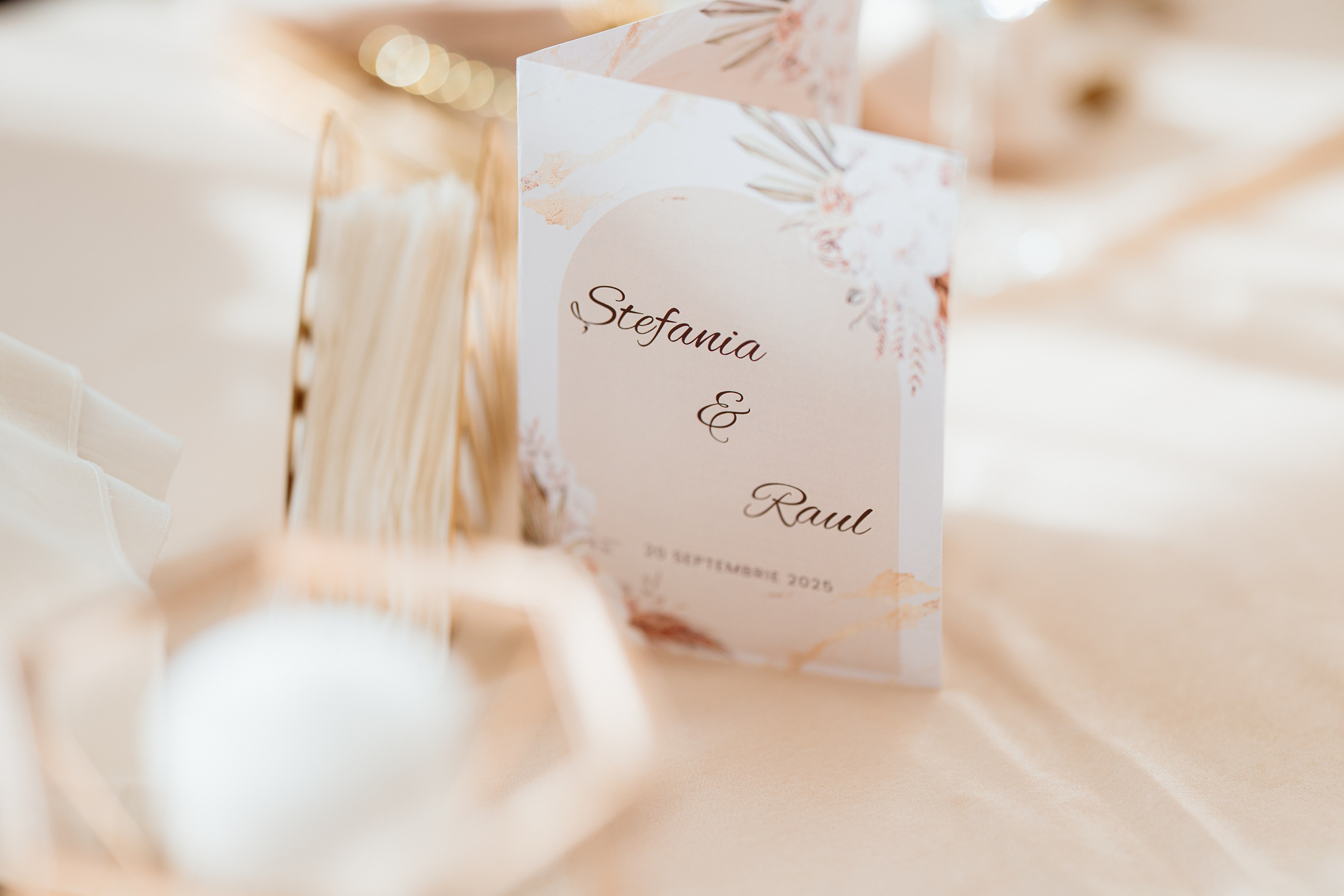 Raul & Ștefania. Wedding Photographer in Transylvania | Grozav Media