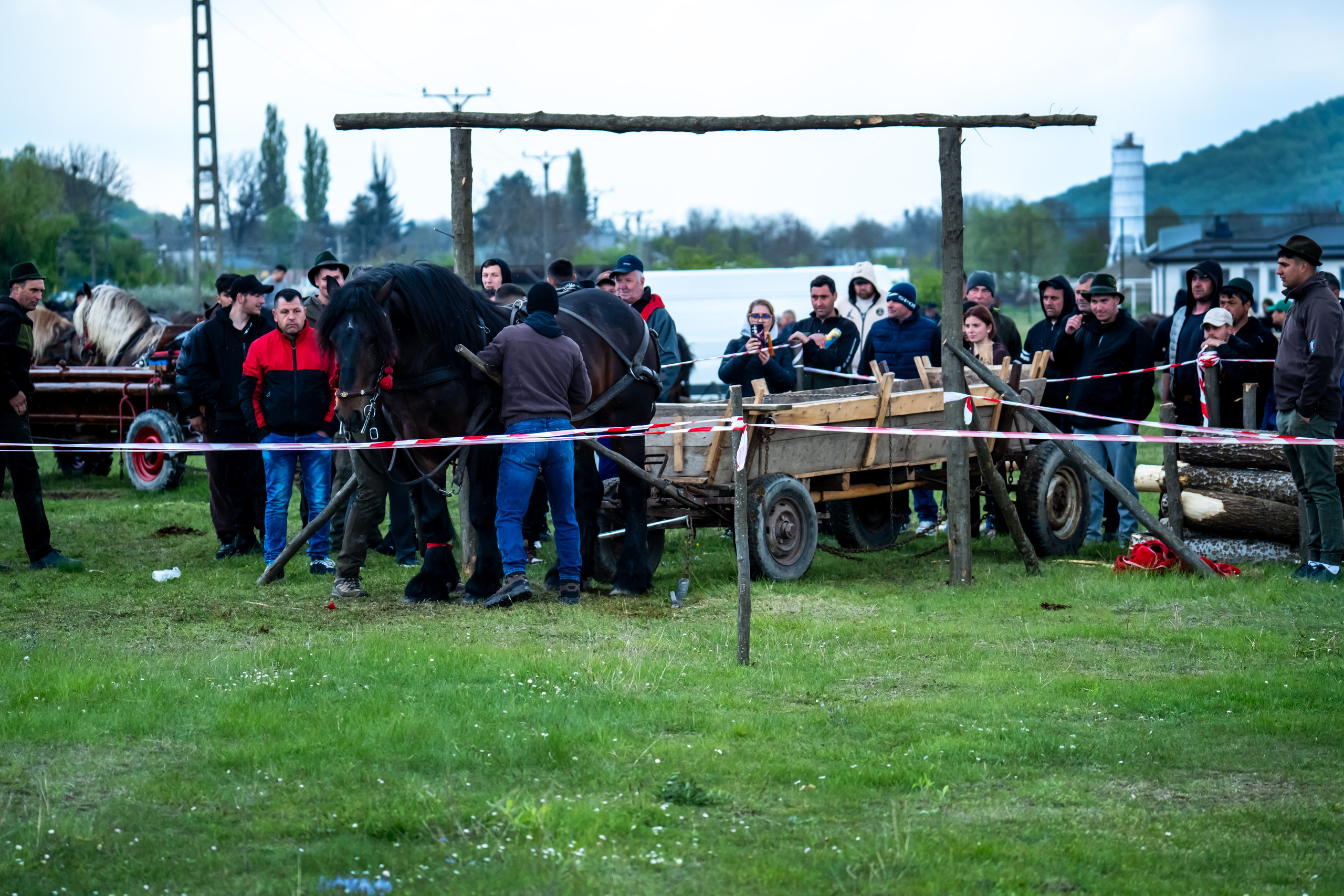 Concurs Ecvestru Vărbilău ediția a 4-a. Mihai Alexandra Events