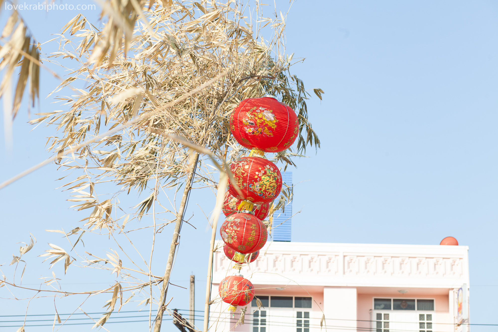 Profile Portrait. Photography & Events Thailand Krabi