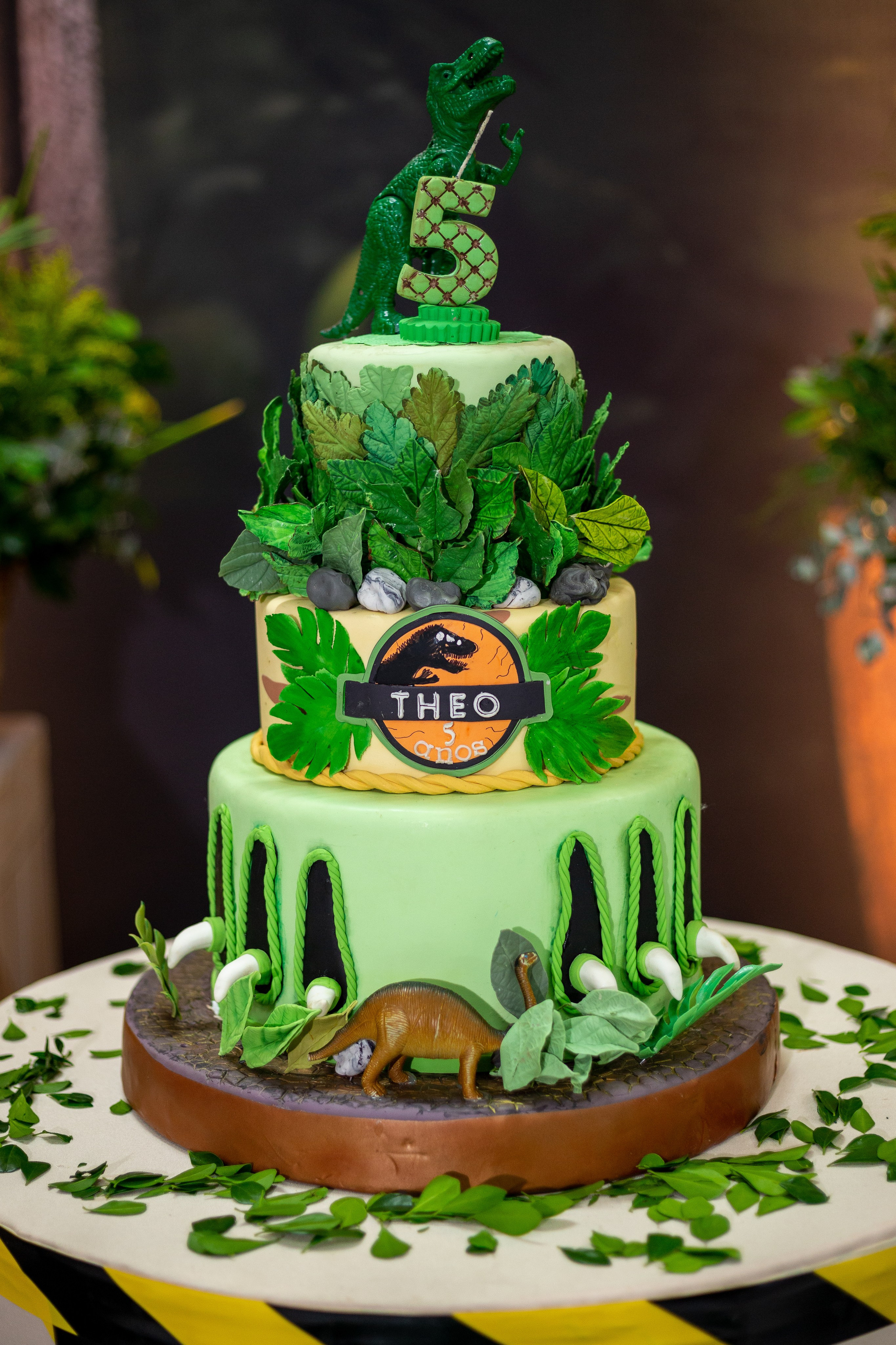 Théo 5 anos. Bem-vindo ao Meu Mundo Fotográfico