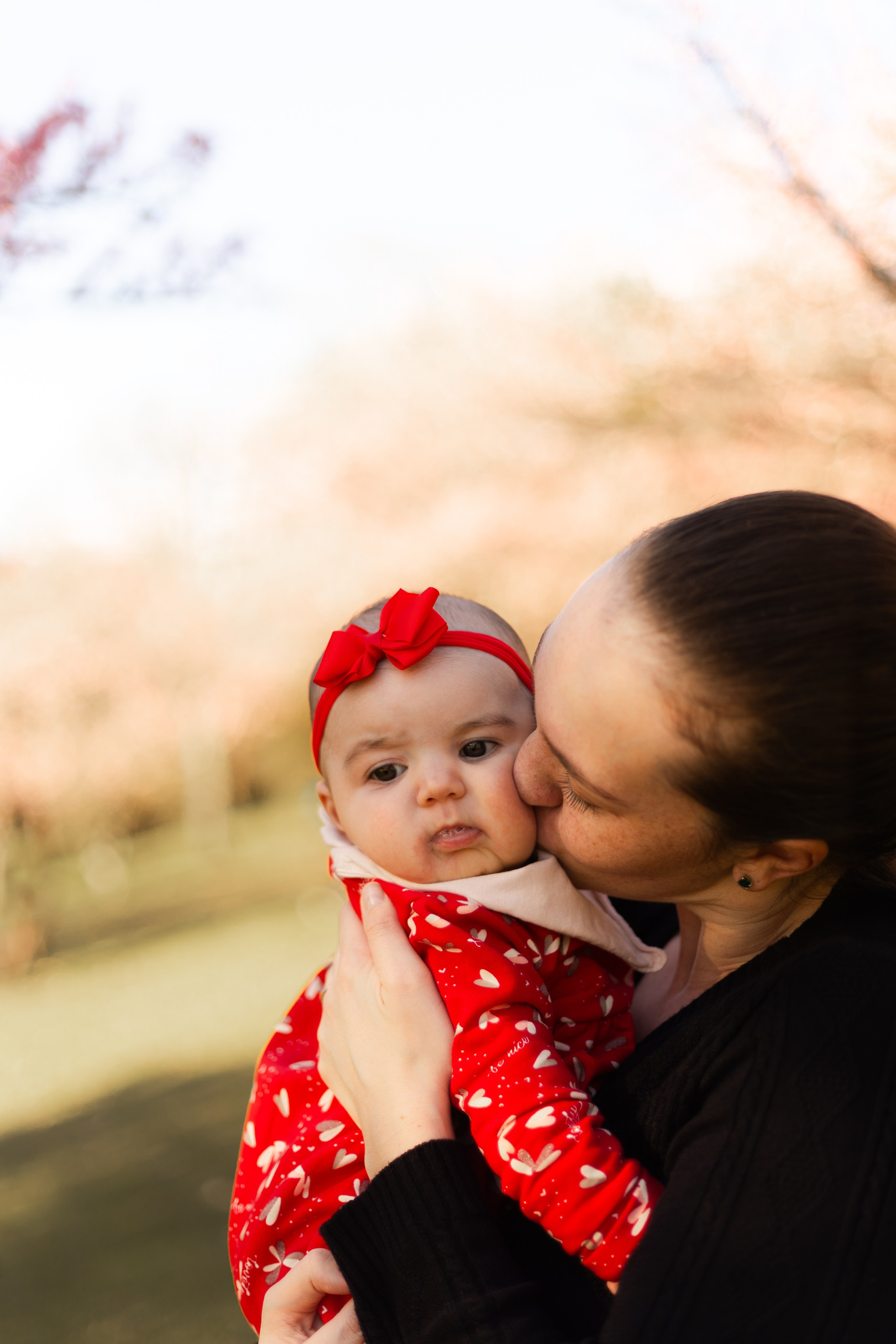 Minha familia nas cerejeiras