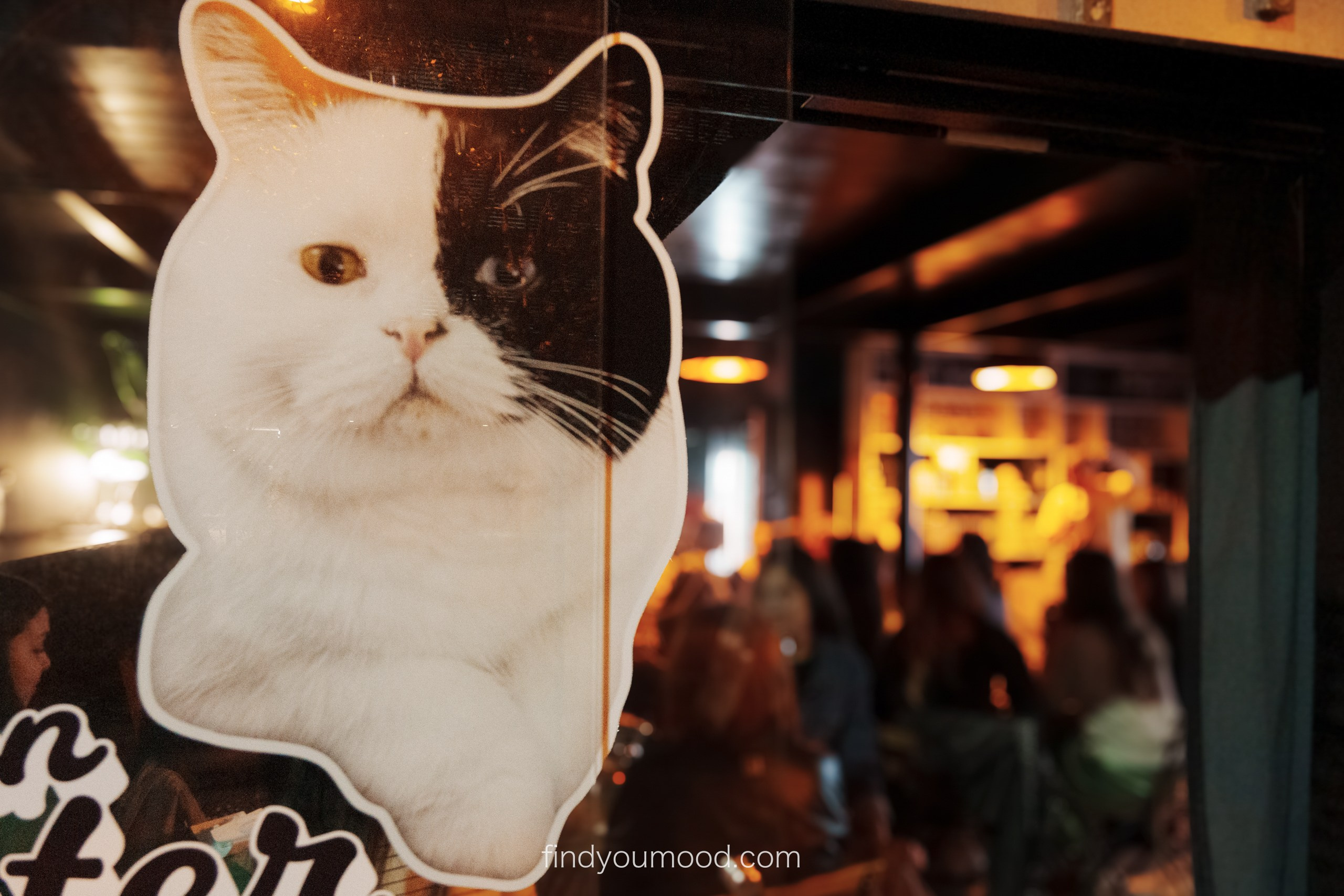 Birthday Epilution. Photo and video shooting