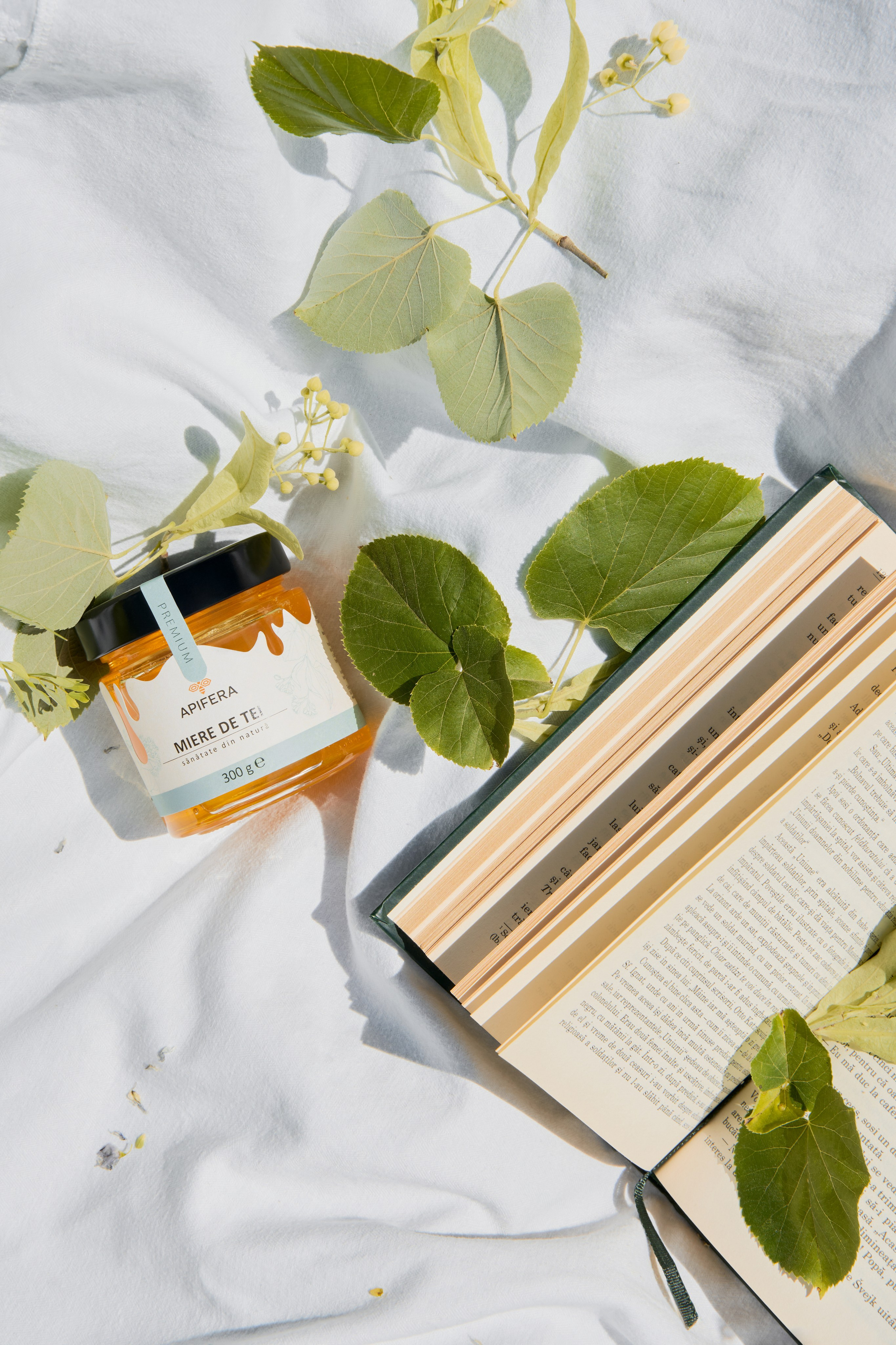 Apifera. Привет