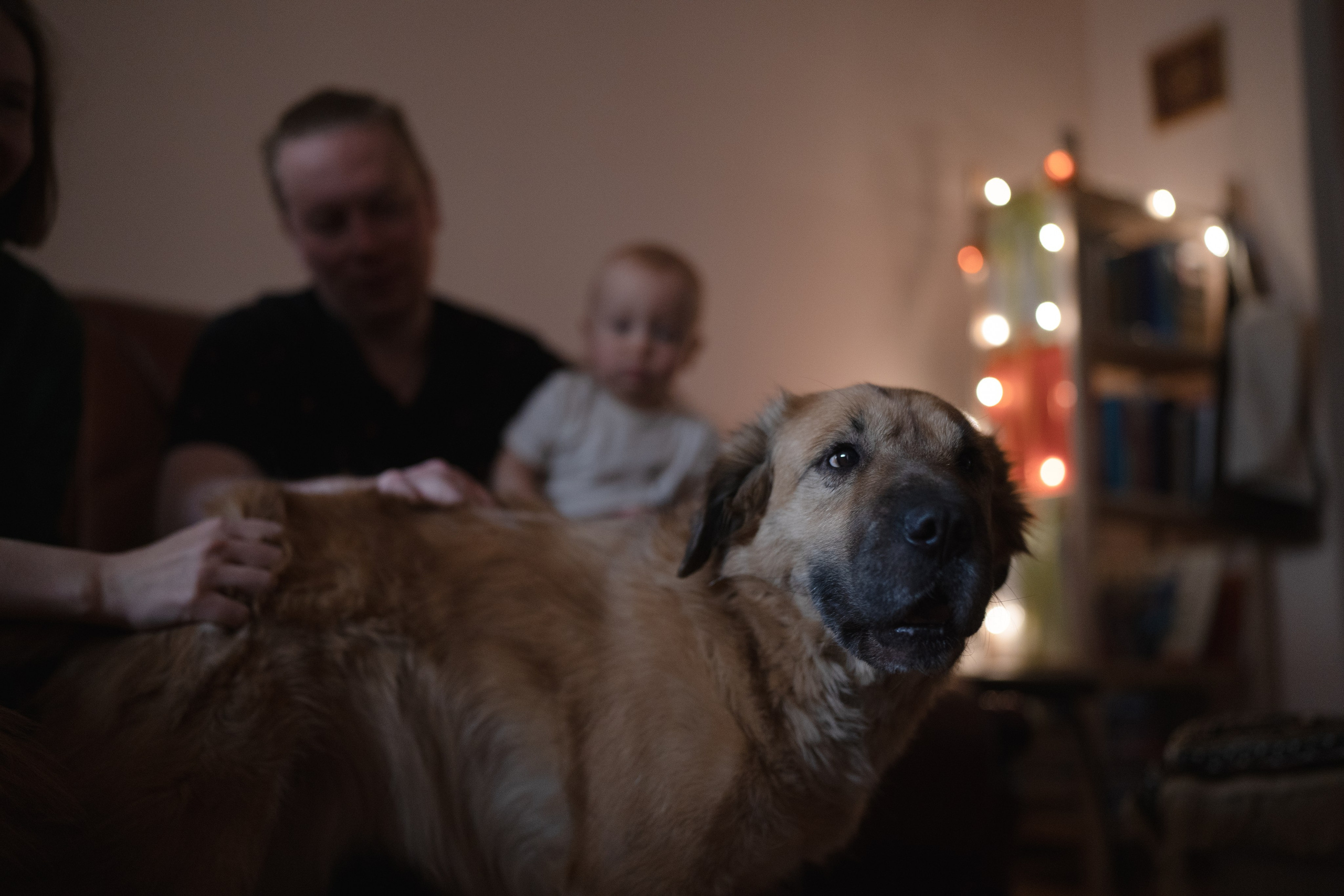 Alena, Vlad and their son Lev. Main