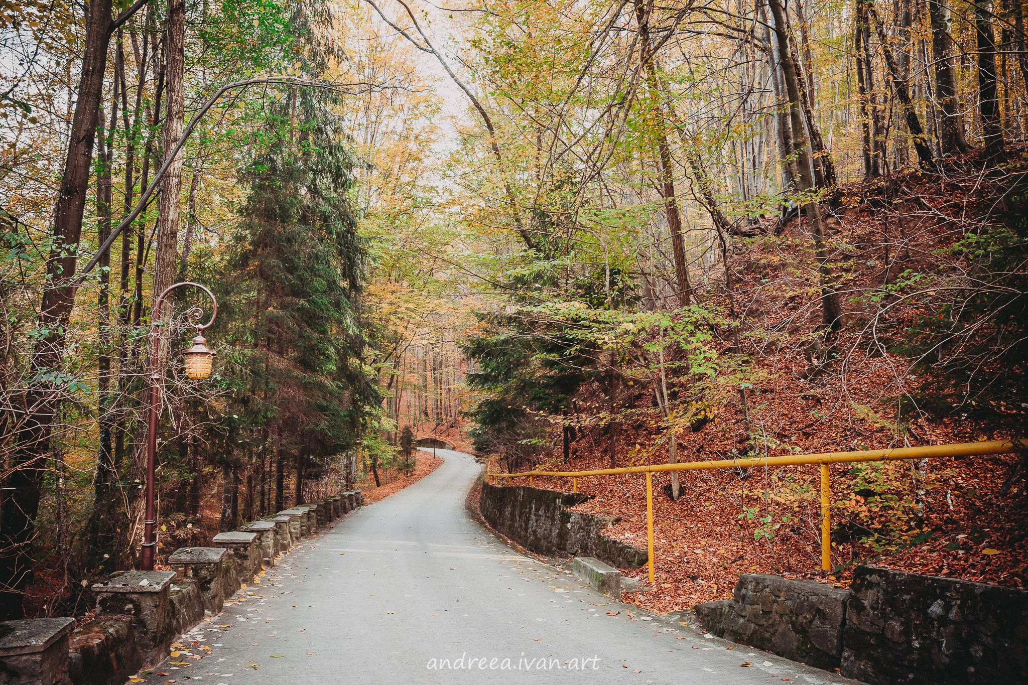 ~Peisaje~. Andreea Ivan art-Fotograf Constanta, Fotograf profesionist Constanta, Fotograf de nunta Constanta, botez, sedinte foto cu tematica, portret