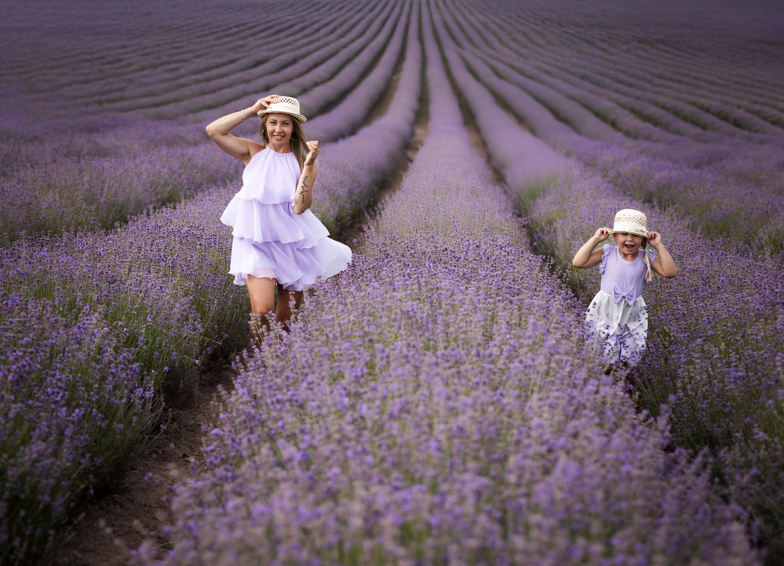 Lavendel. Photographer in Munich