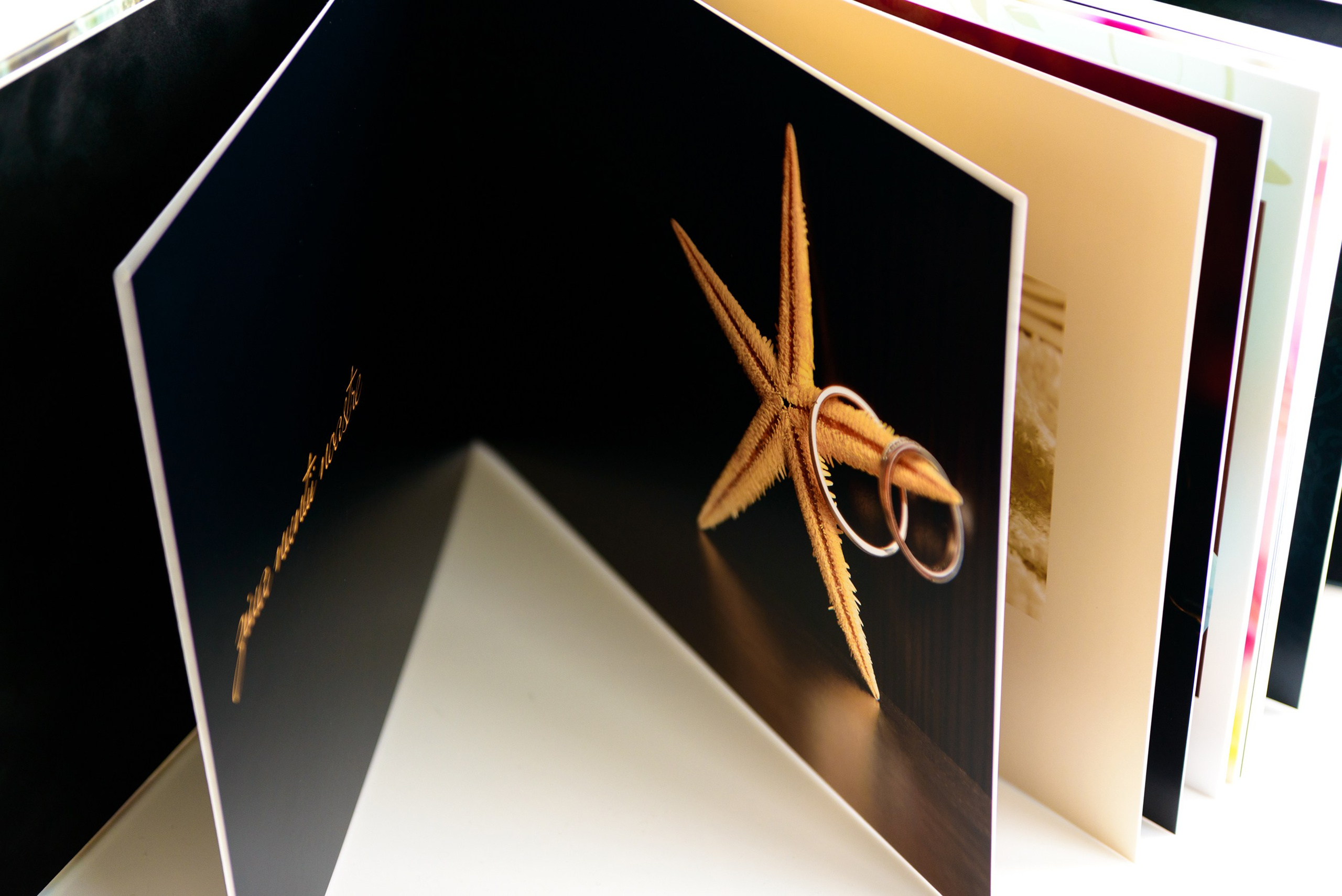 Albume Bogdan Palenciuc