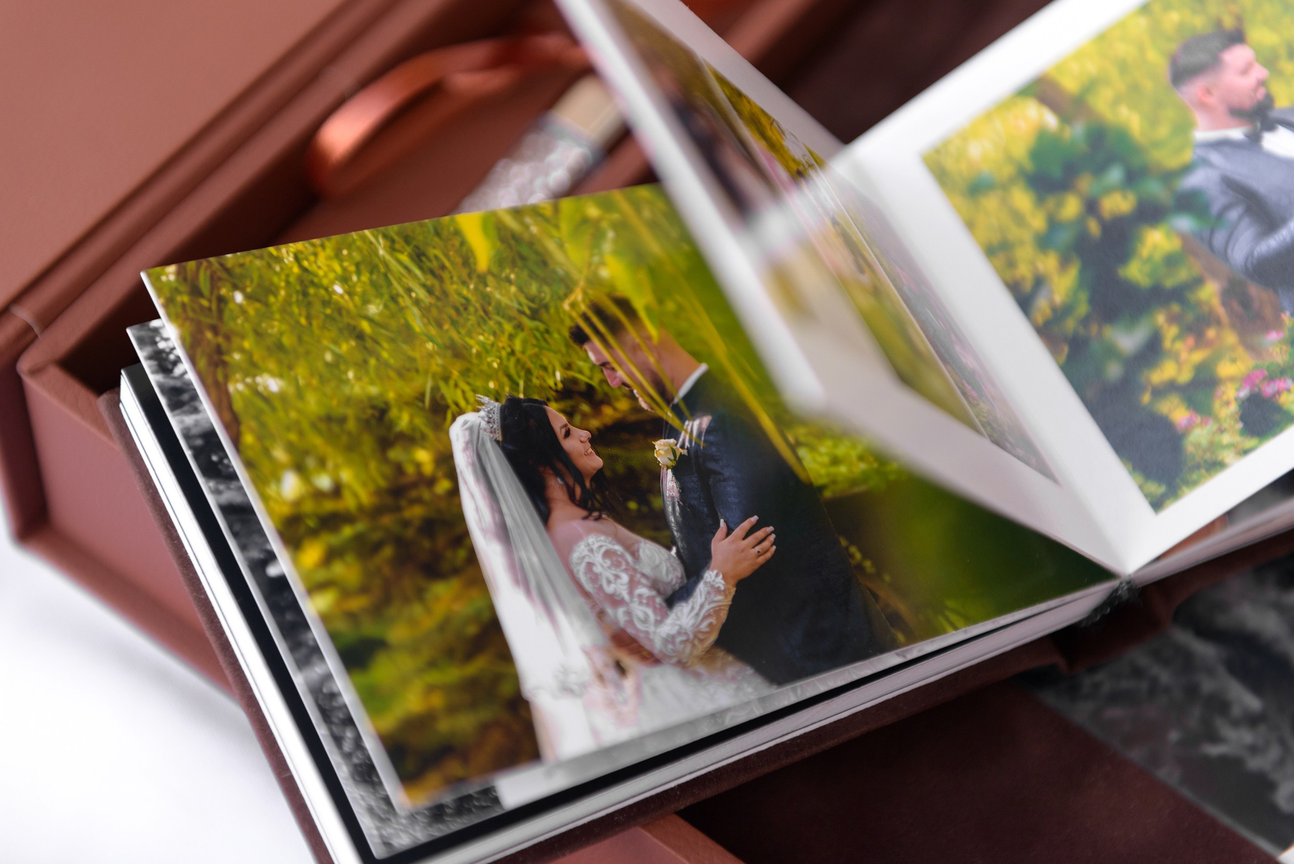 Albume Bogdan Palenciuc