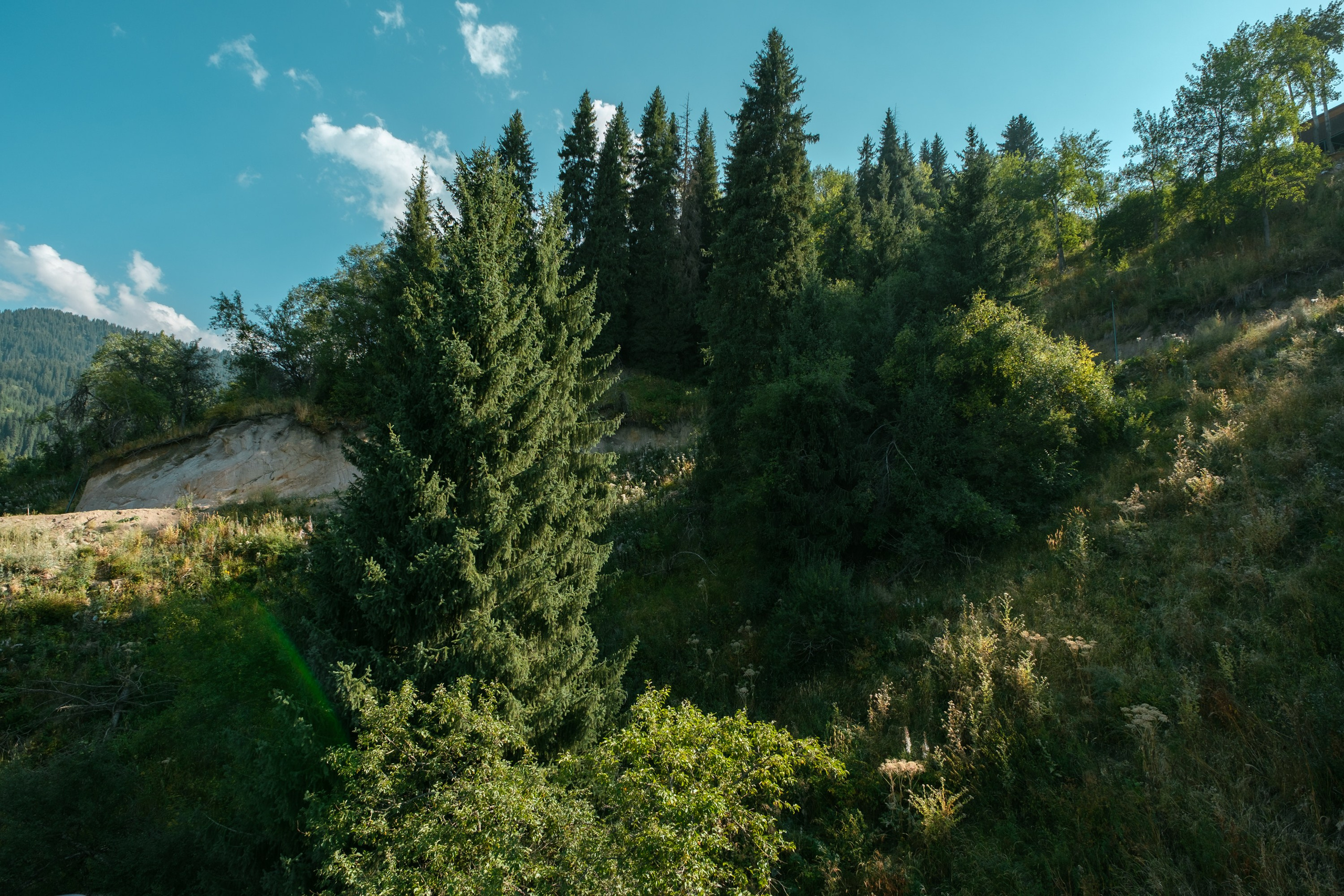 Sigma 12 mm F/1.4 DC DN Contemporary. Фотограф Григорий Кравец