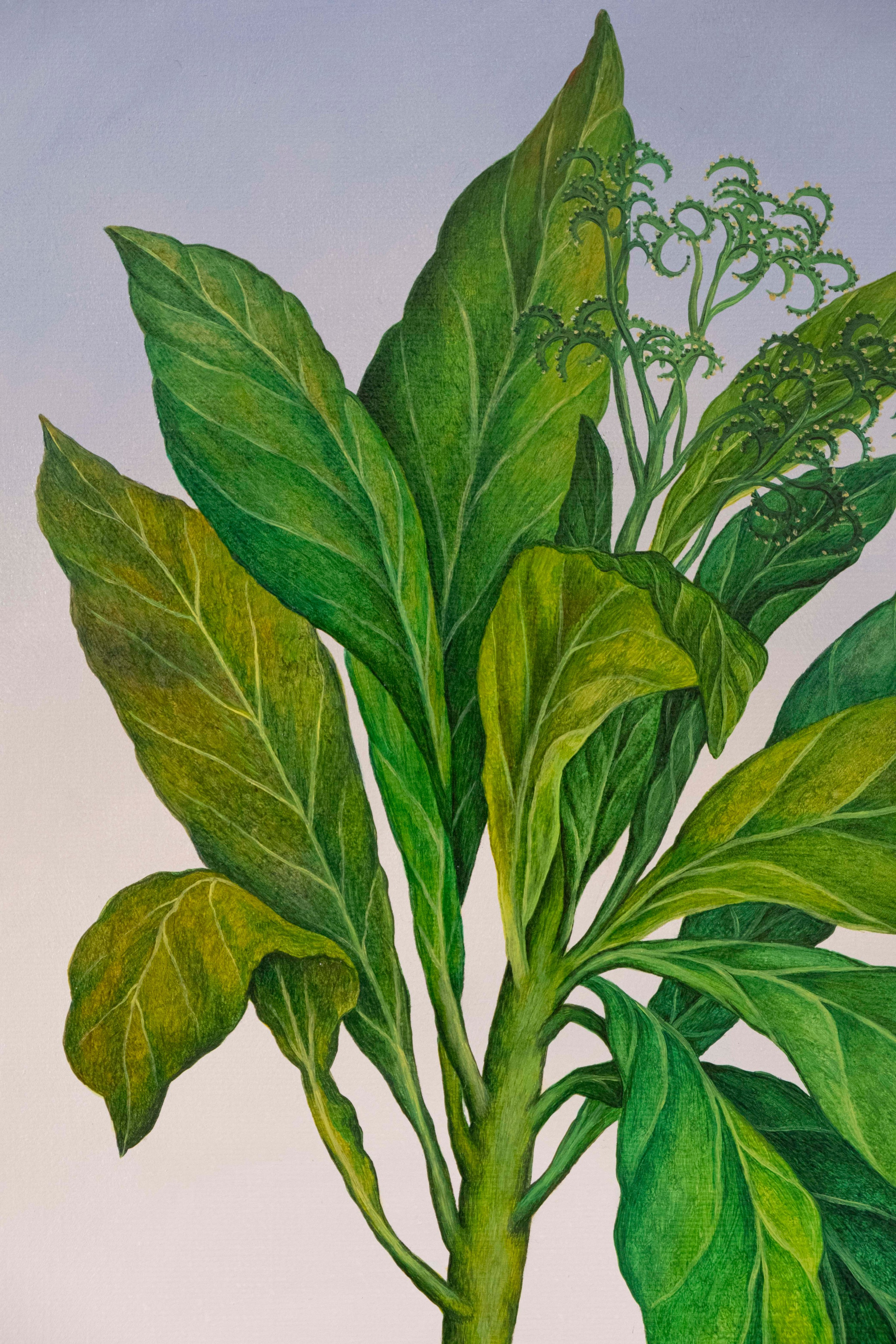 Botanical Etude No. 15. ELEN BEZHEN