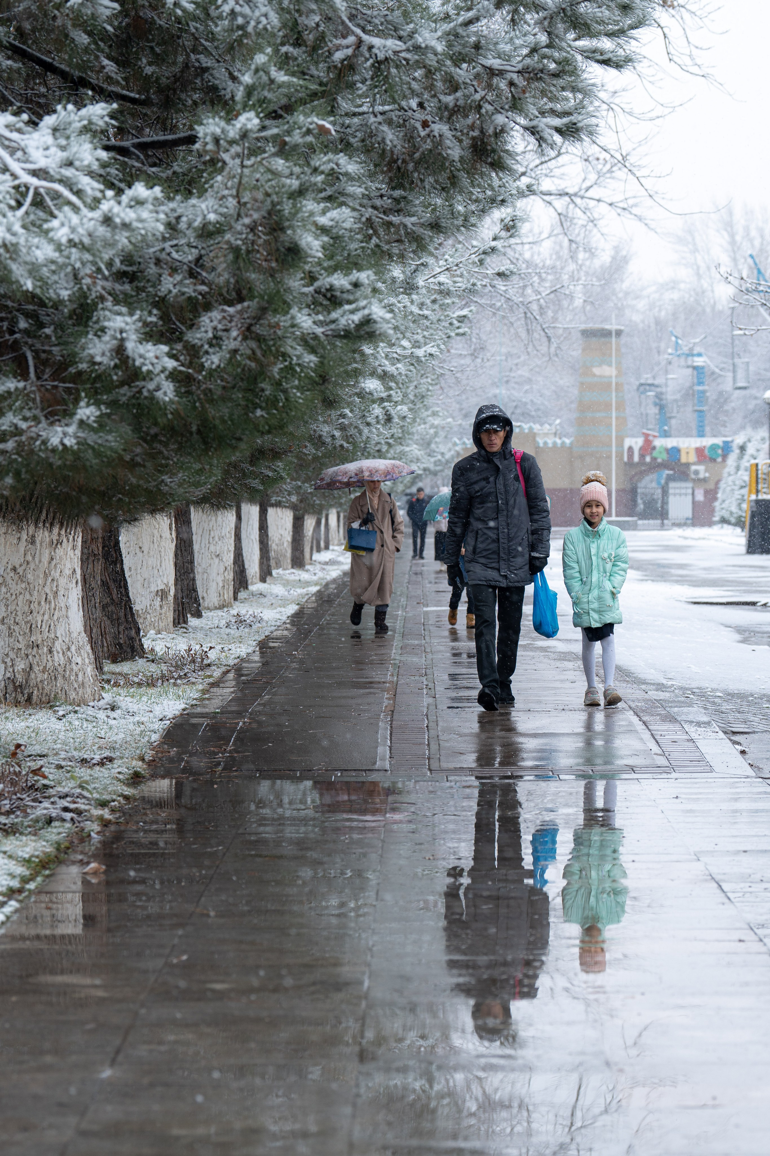 Первый снег в 2024 году. Георгий Намазов | Фотограф в Ташкенте