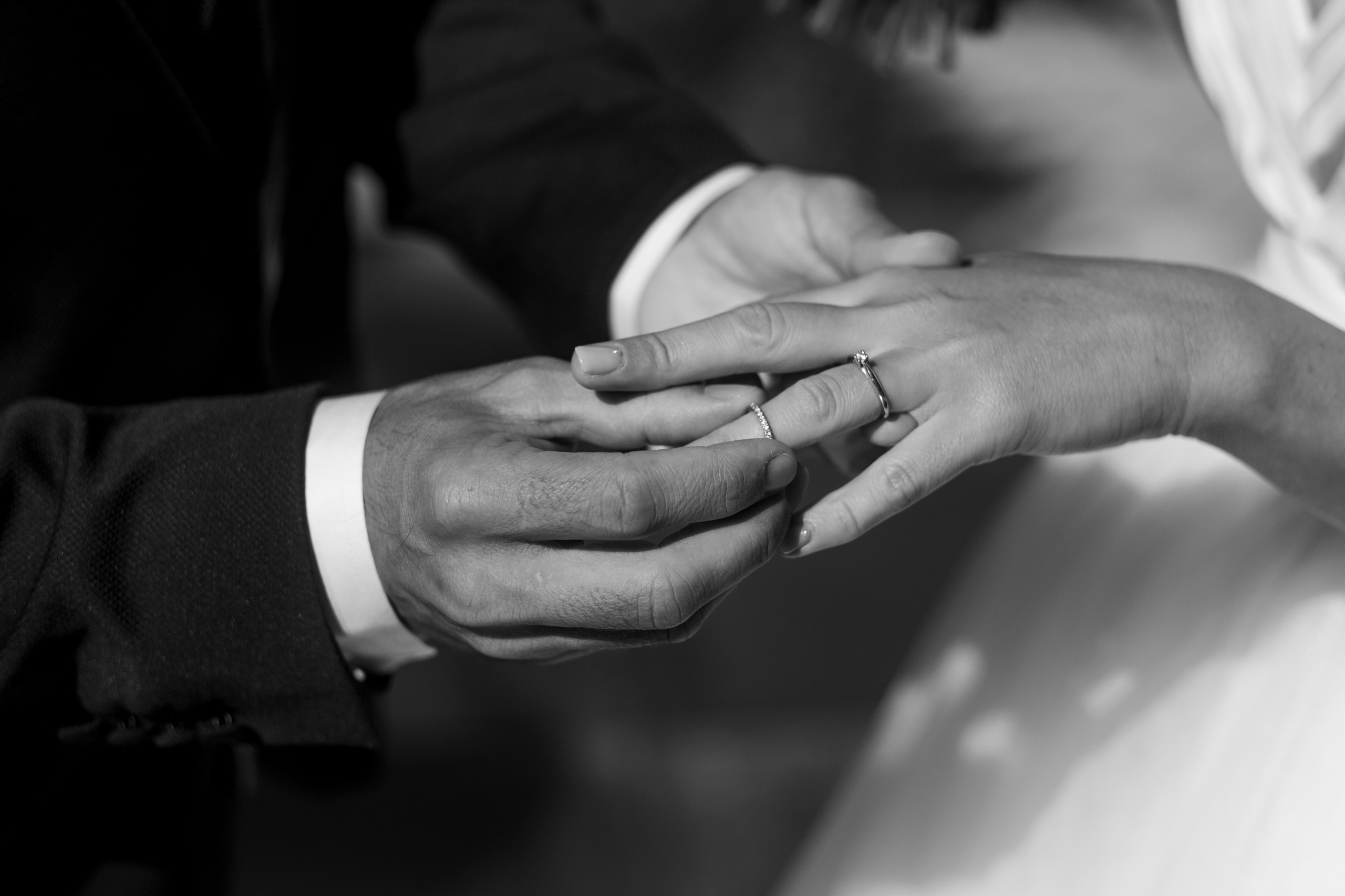 Dasha & Ister. Vivood Landscape. Paola fotógrafo / videografo de bodas en Barcelona