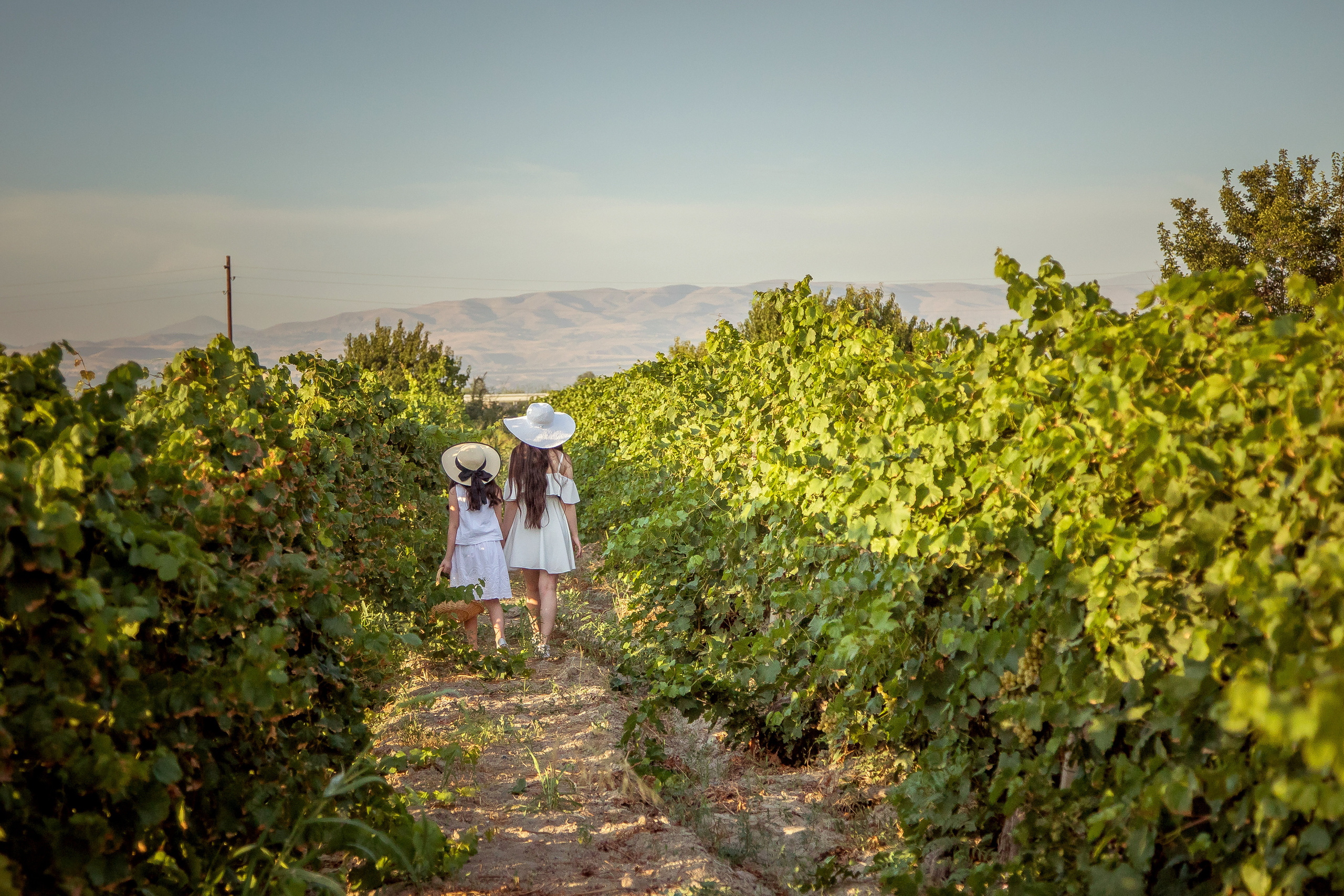Sisters. Семейный и детский фотограф в Ереване Алиса Товмасян