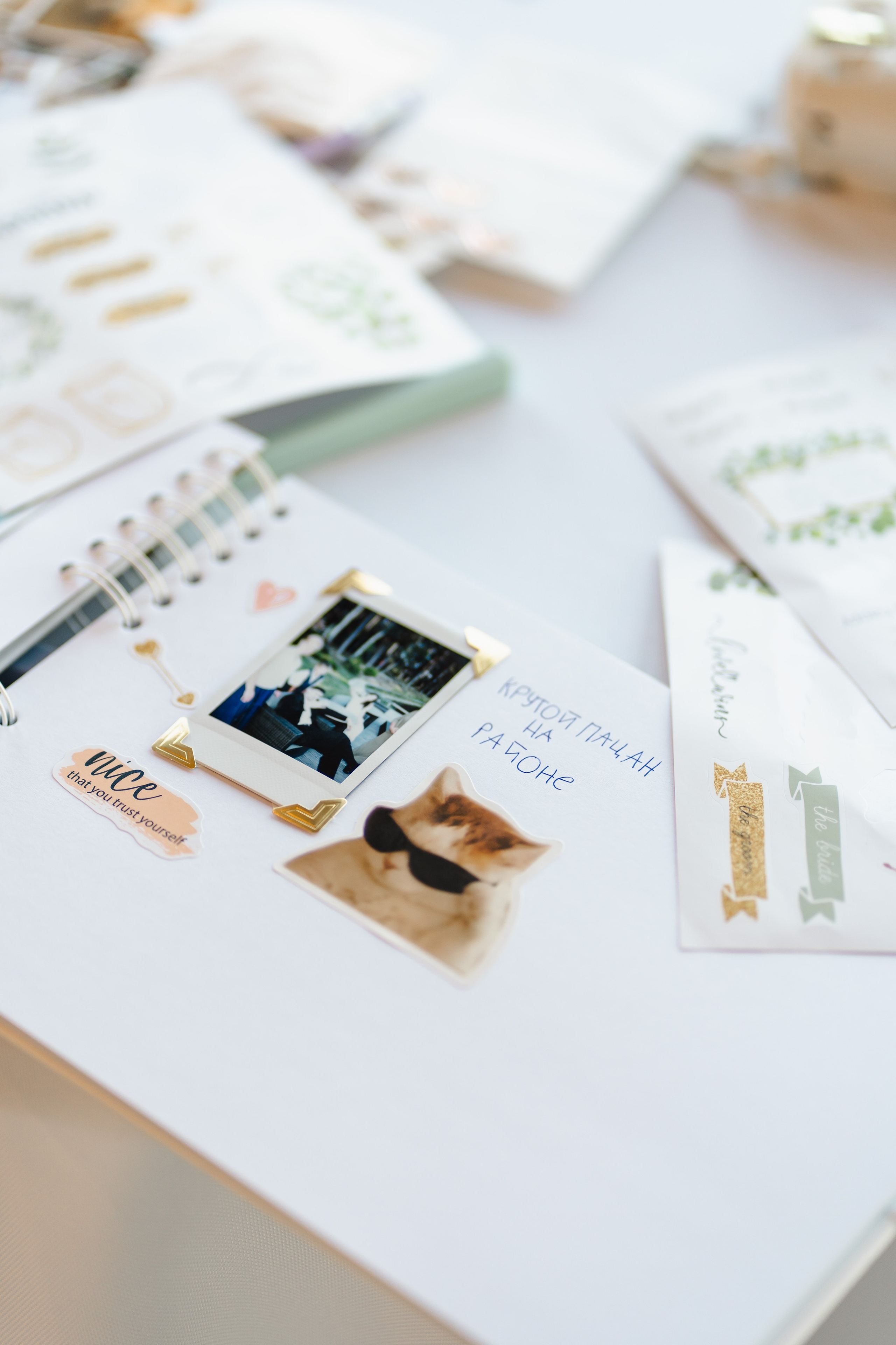 E&S. Montenegro photographer and videographer