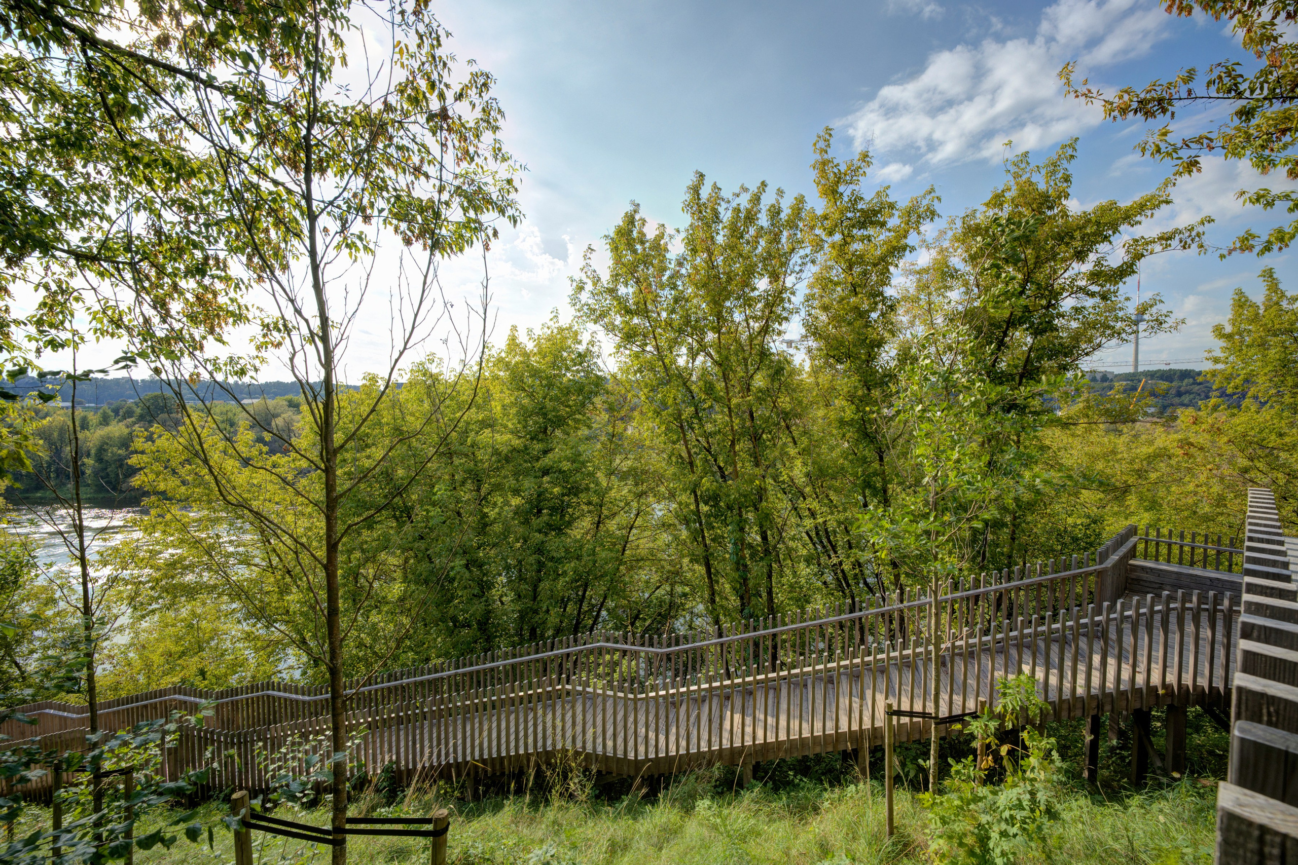 Eigulių g. 7 didelis 1 k. butas su pertvarą. Elina Sapiega fotografė Vilniuje