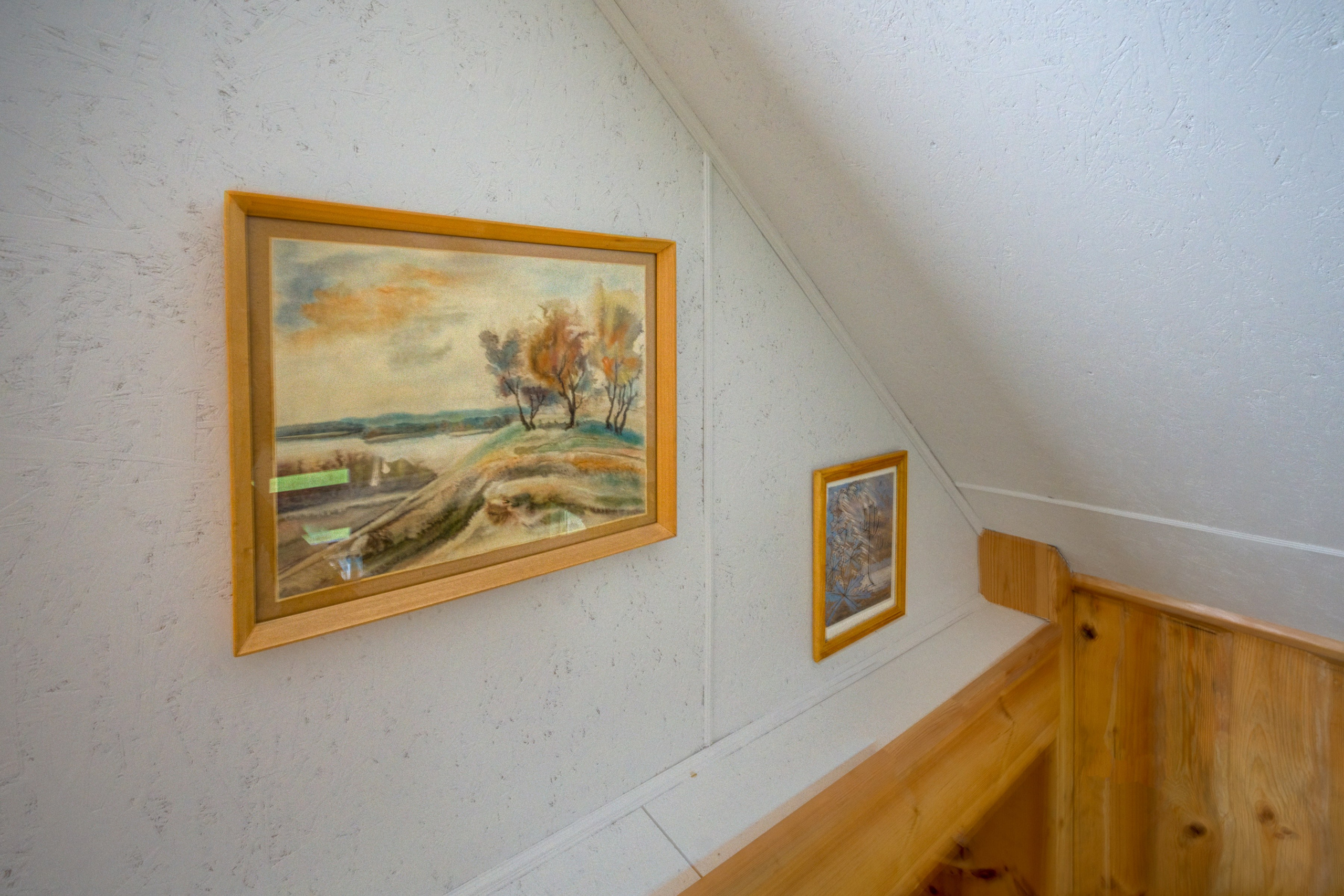 Varėnos raj. Elina Sapiega fotografė Vilniuje