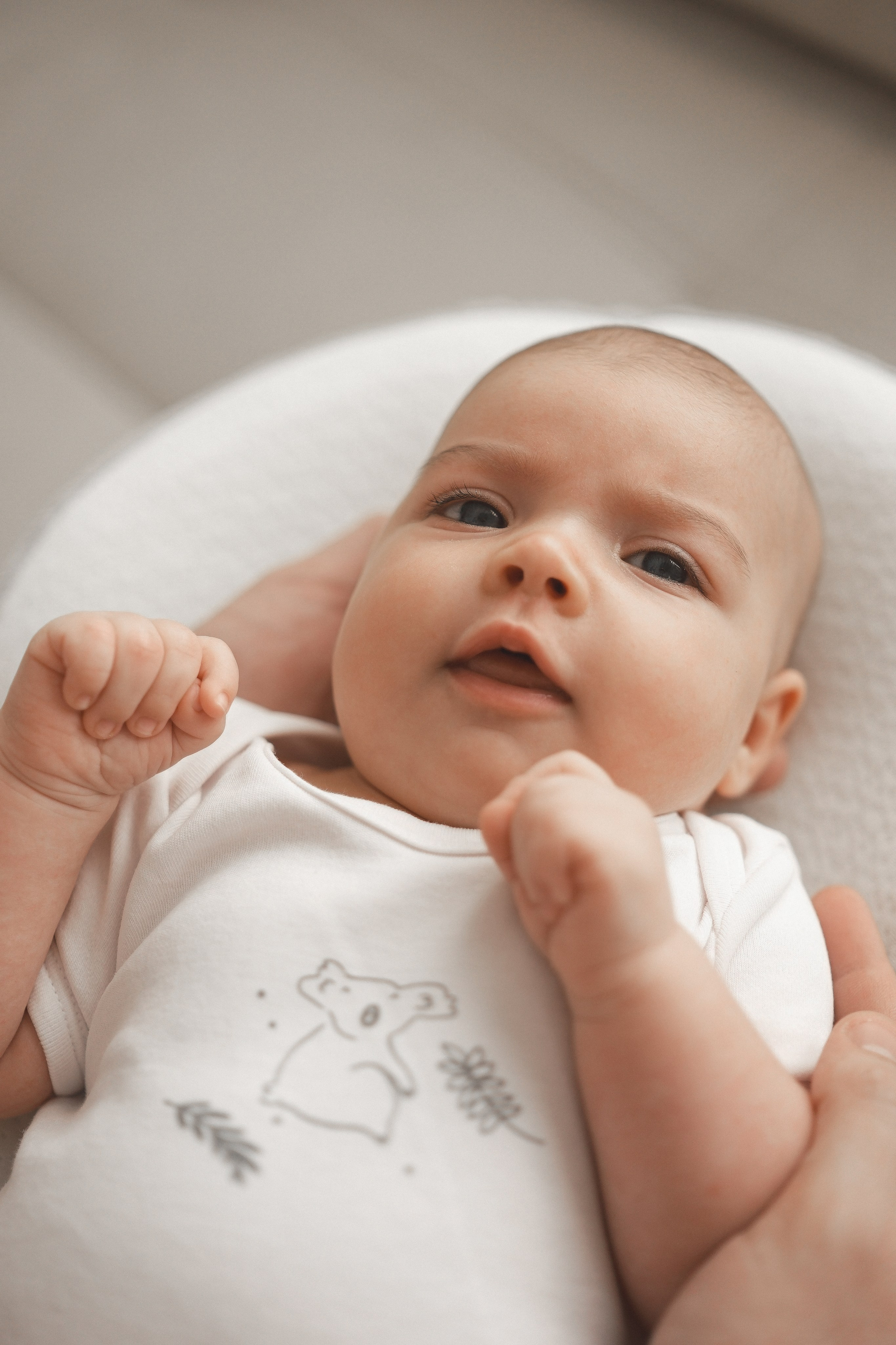 Asia. Lifestyle фотограф в Турции: Ташуджу, Силифке, Мерсин