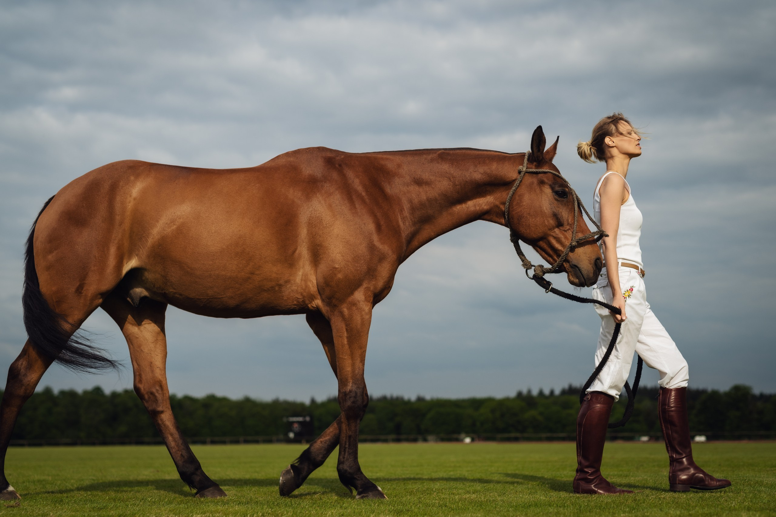 Photo shoot with horses
