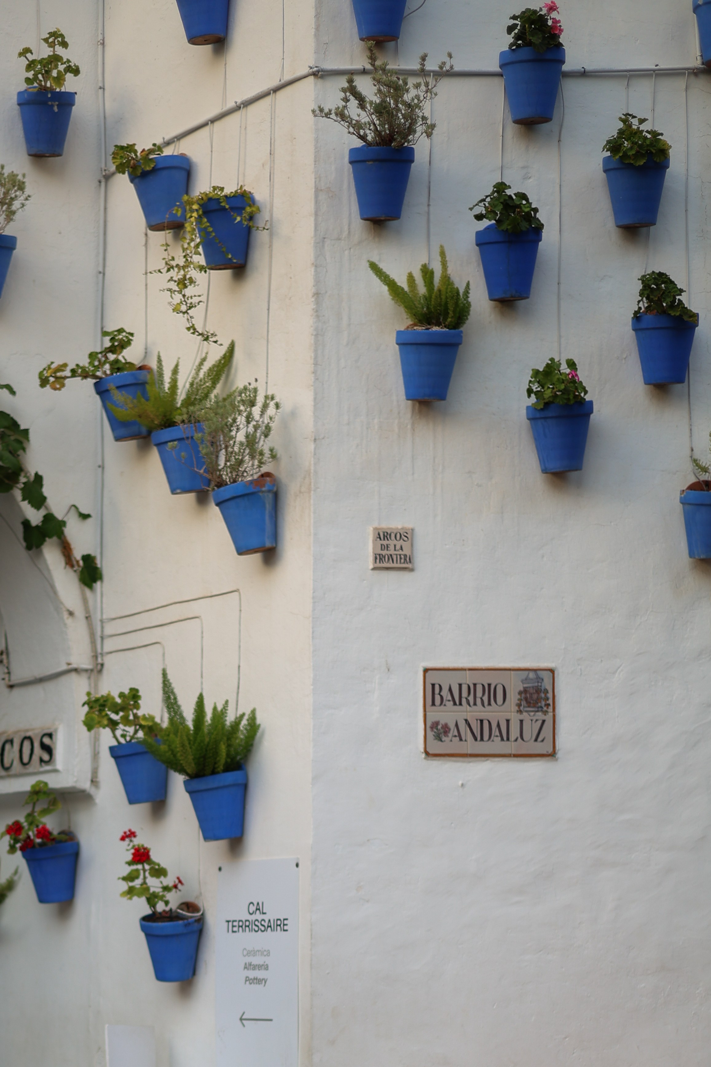 Street. ARTAMIND Photography. Portraits, Family Sessions, Events. Buffalo, NY