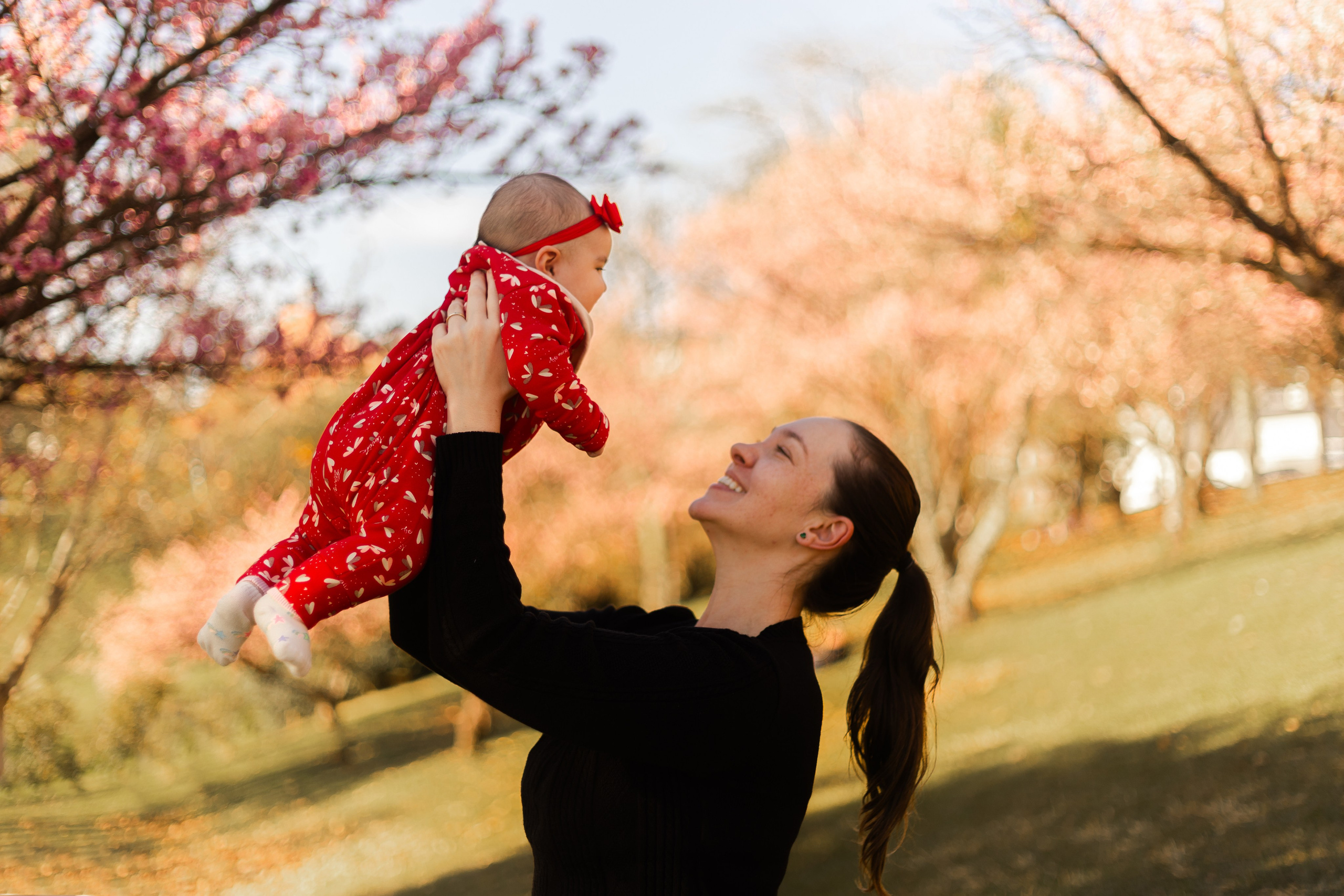 Minha familia nas cerejeiras
