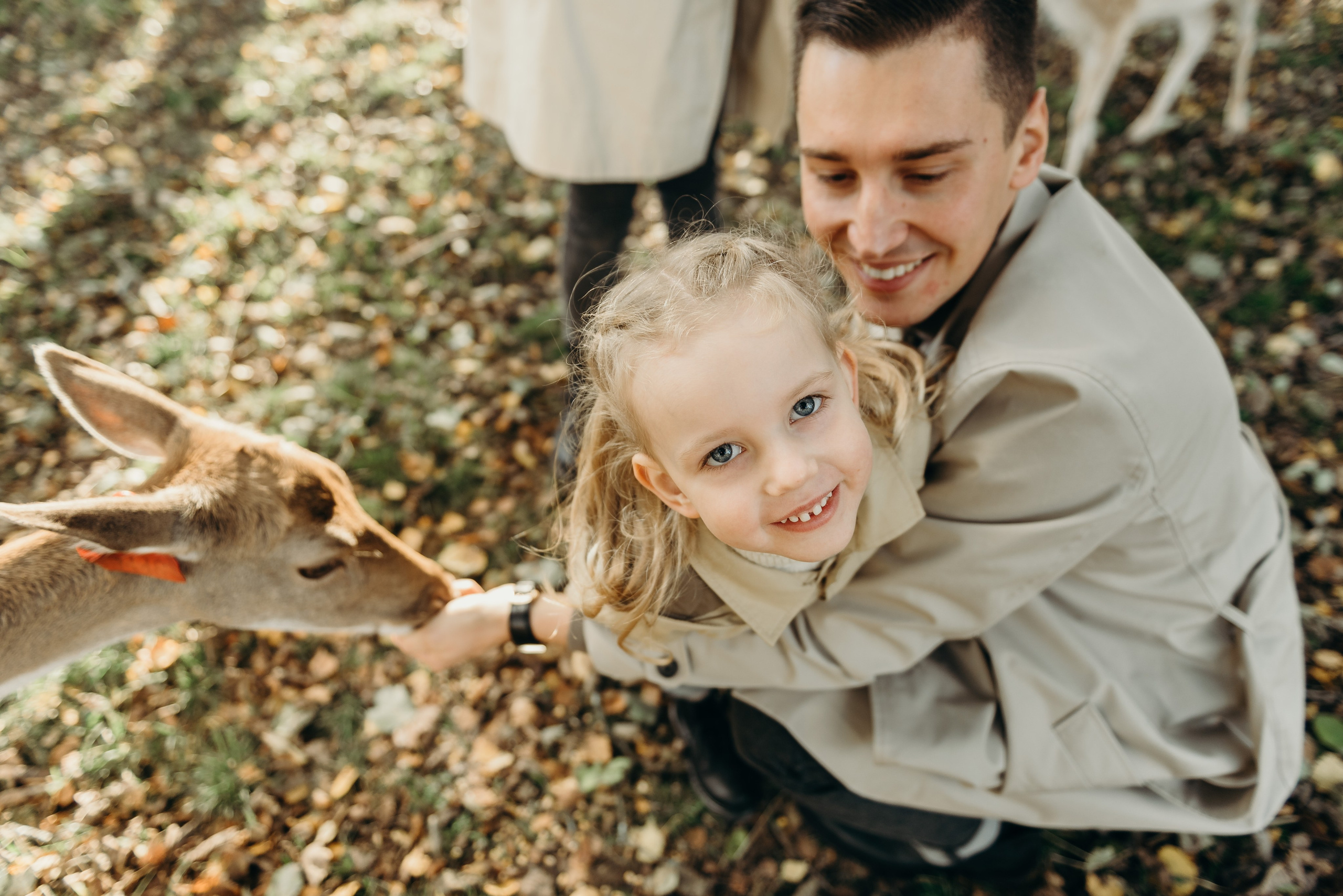 Briežu parks. Свадебный фотограф в Риге — Вячеслав Лучненков