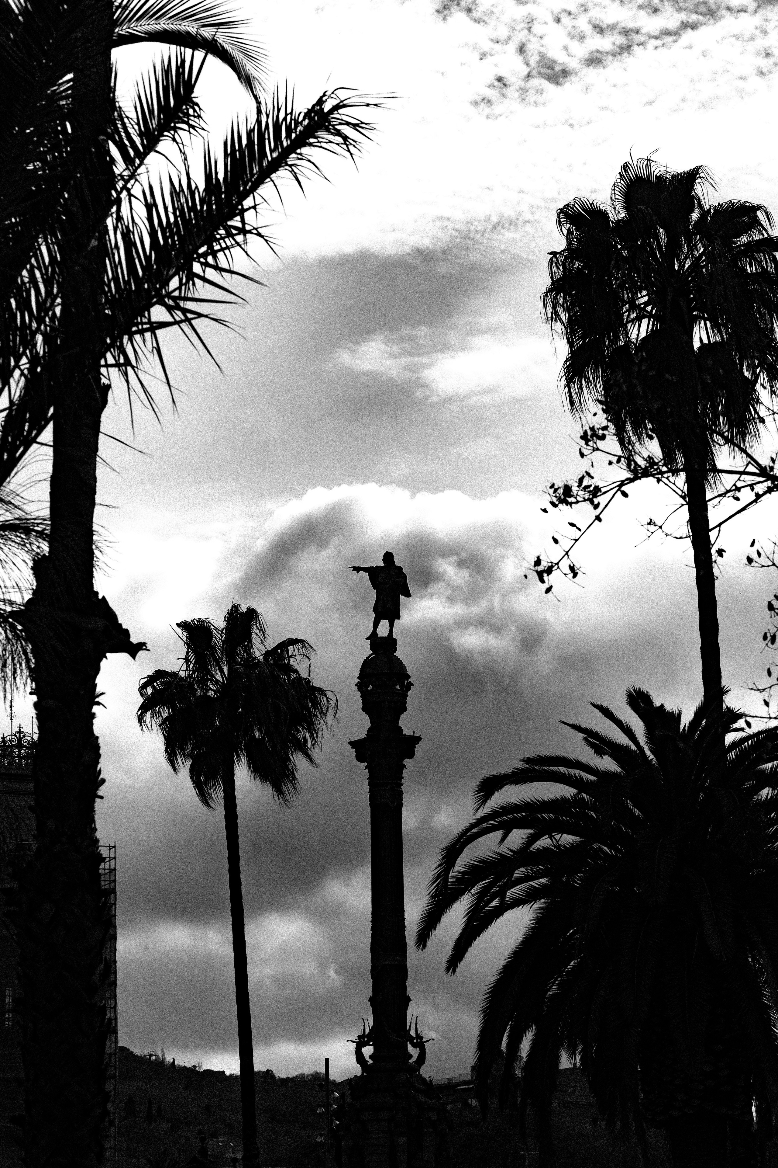 Singles. BNW Around Photography