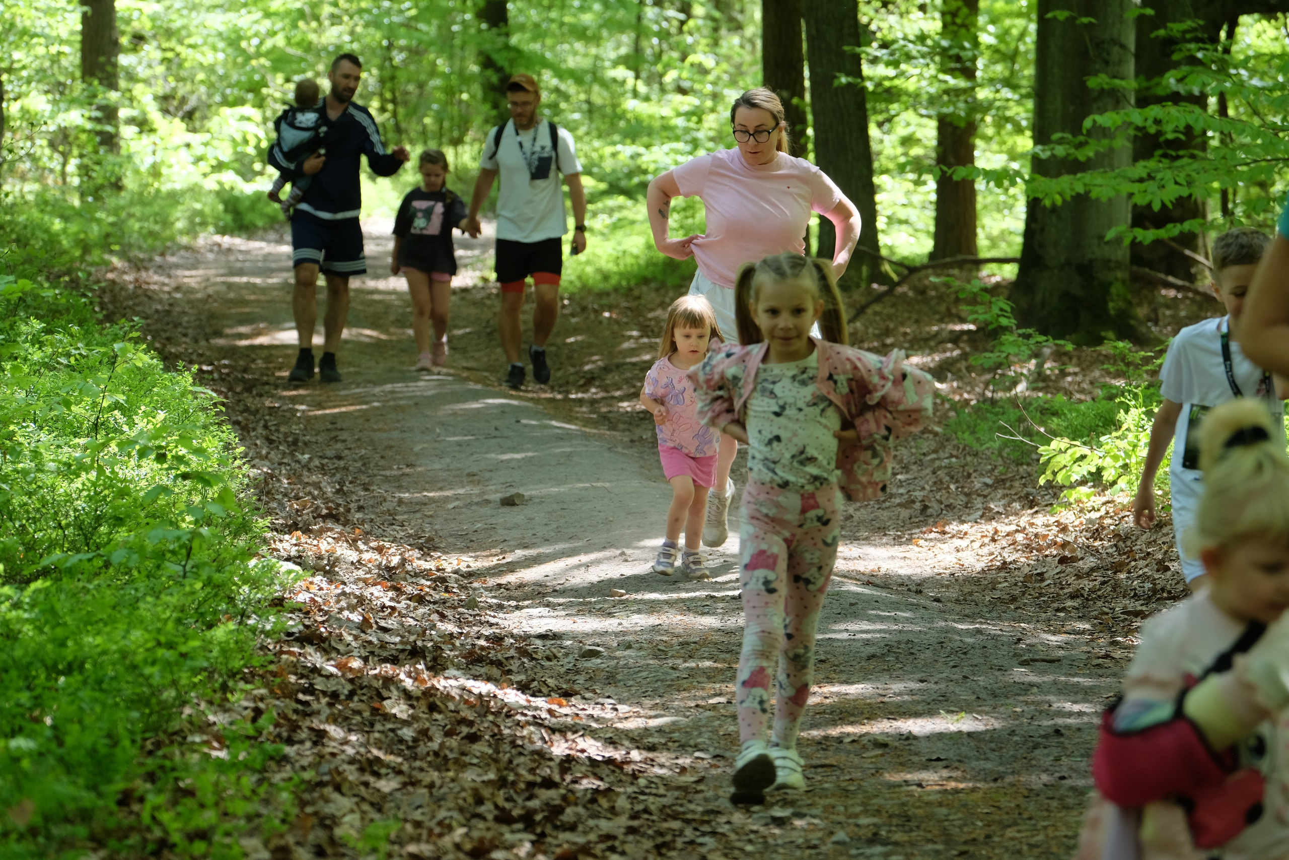 Aleksandryjska Piątka po lesie. Main