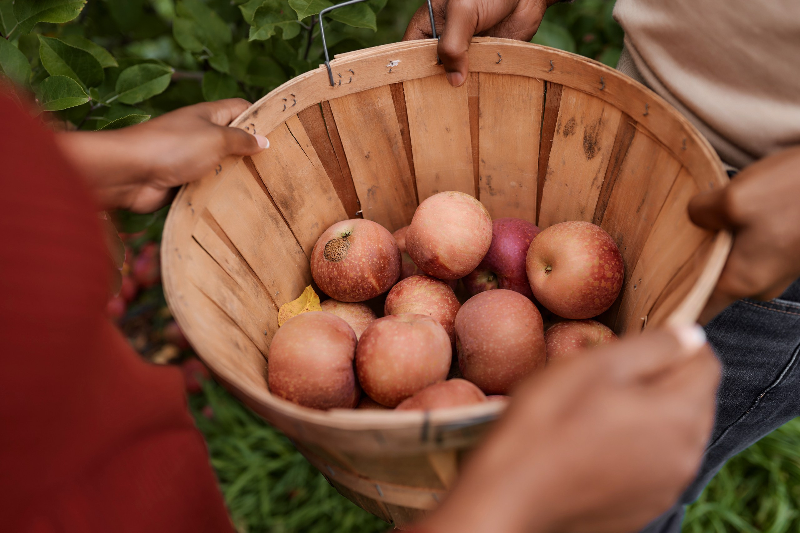 Engagement photo shoot NYC. Professional Wedding and event photographer USA New York
