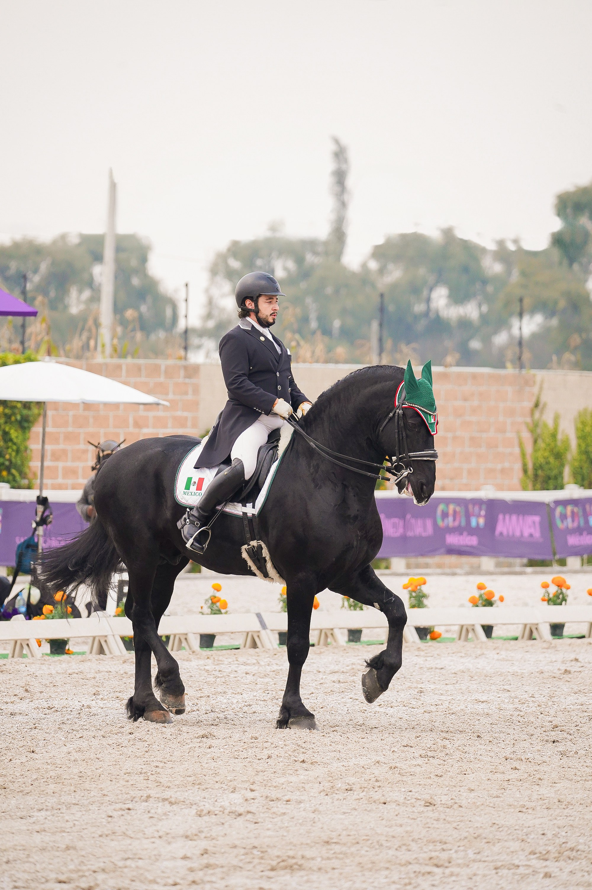 Sport events. Catrina Frolova photography