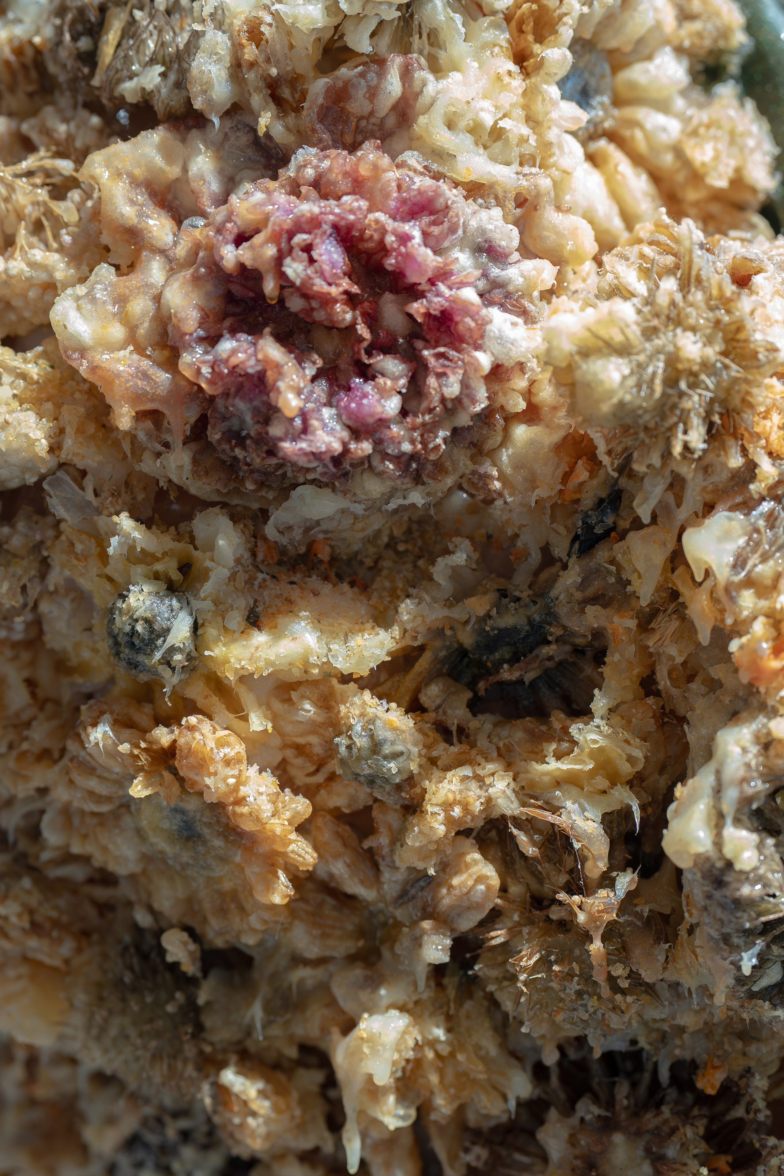 ART Basel Qatar 2026. Family & fashion photographer in Doha