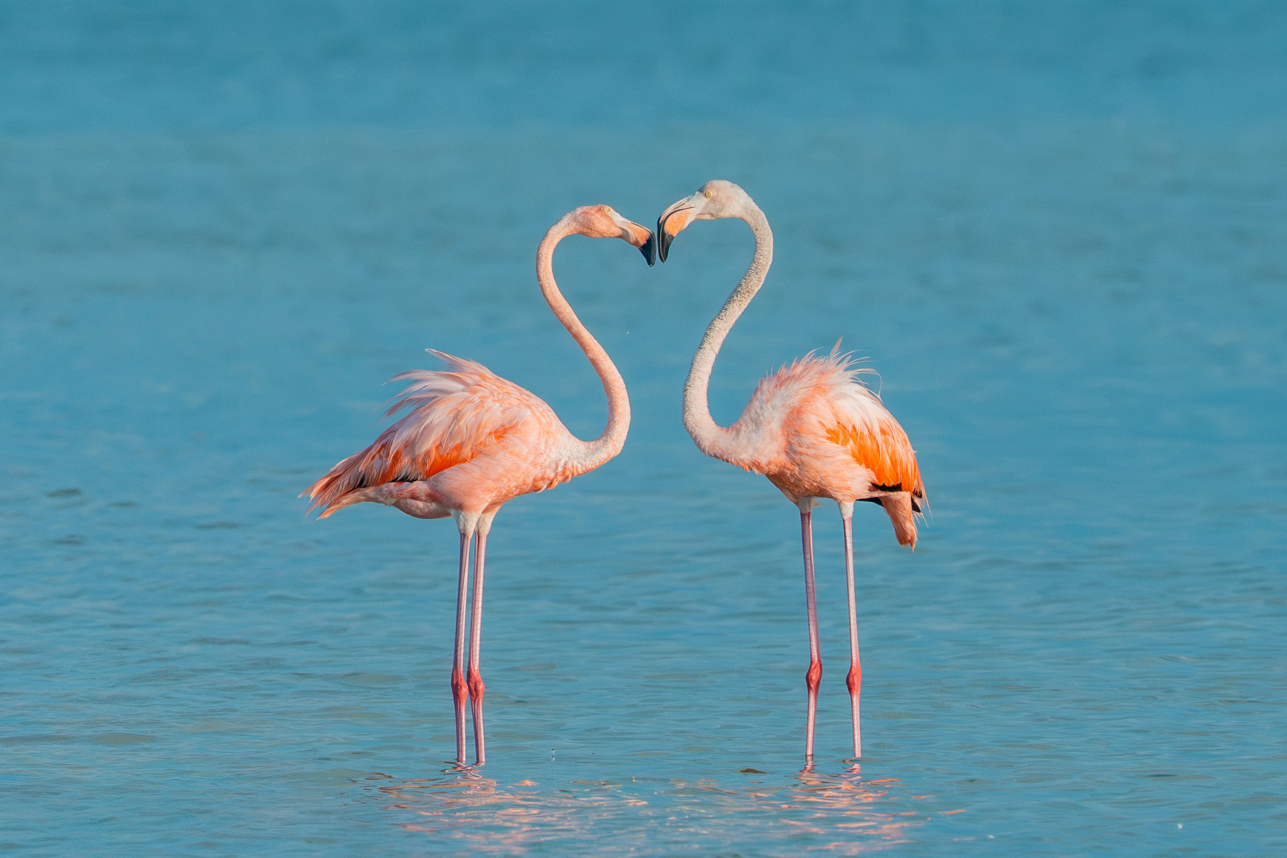 Nature photographer Yuri Soria-Galvarro