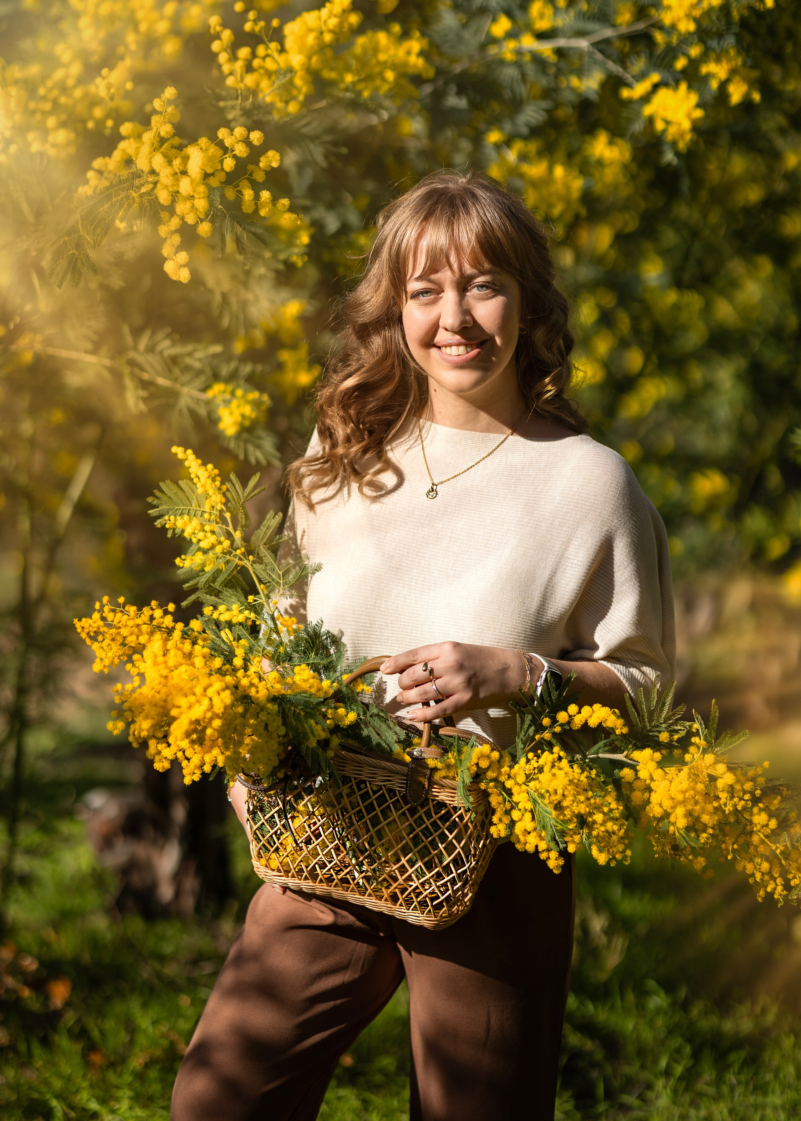 Mimosa. Photographer in Munich