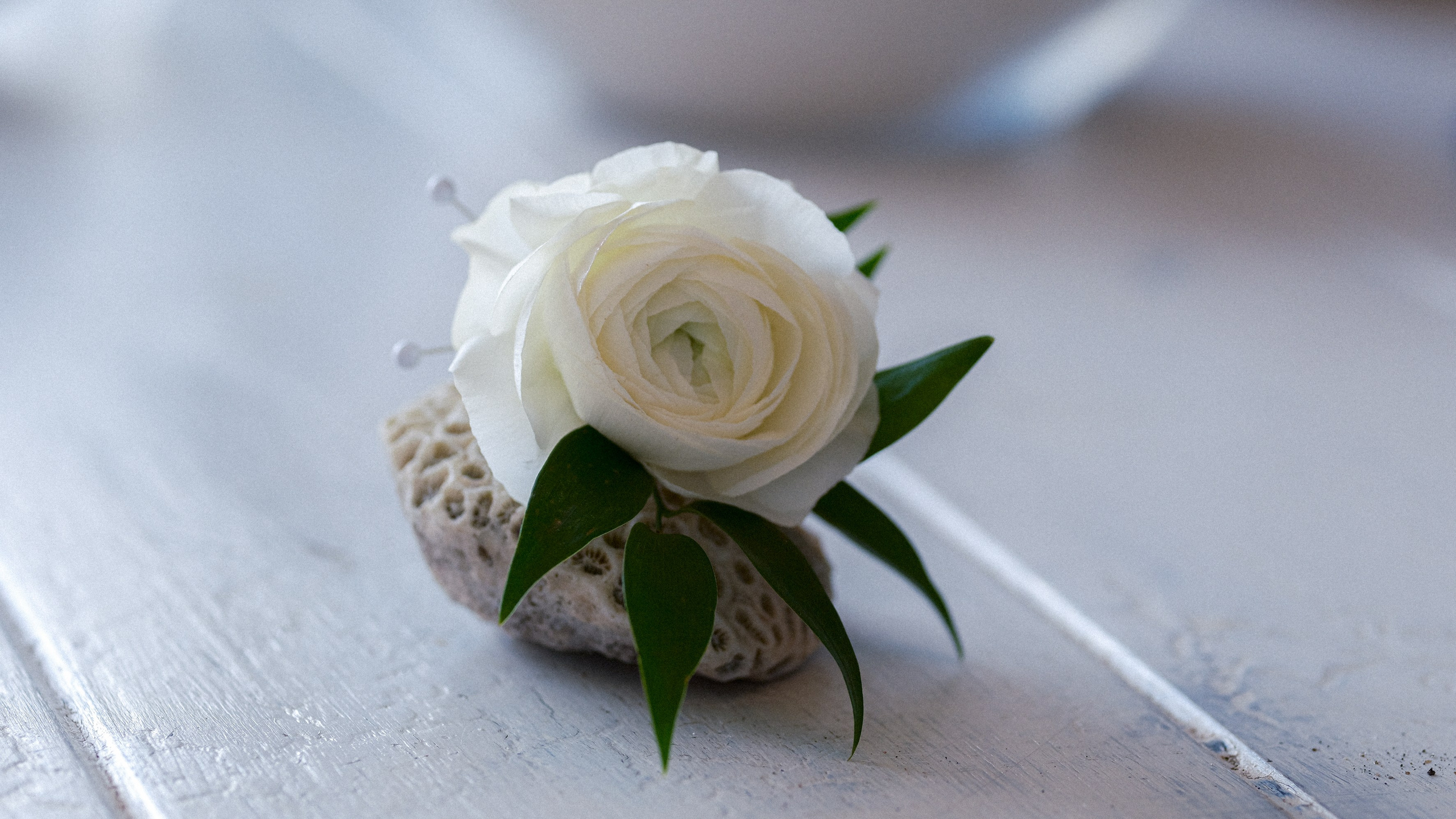 LIV AND OSCAR. Florida destination wedding photographer