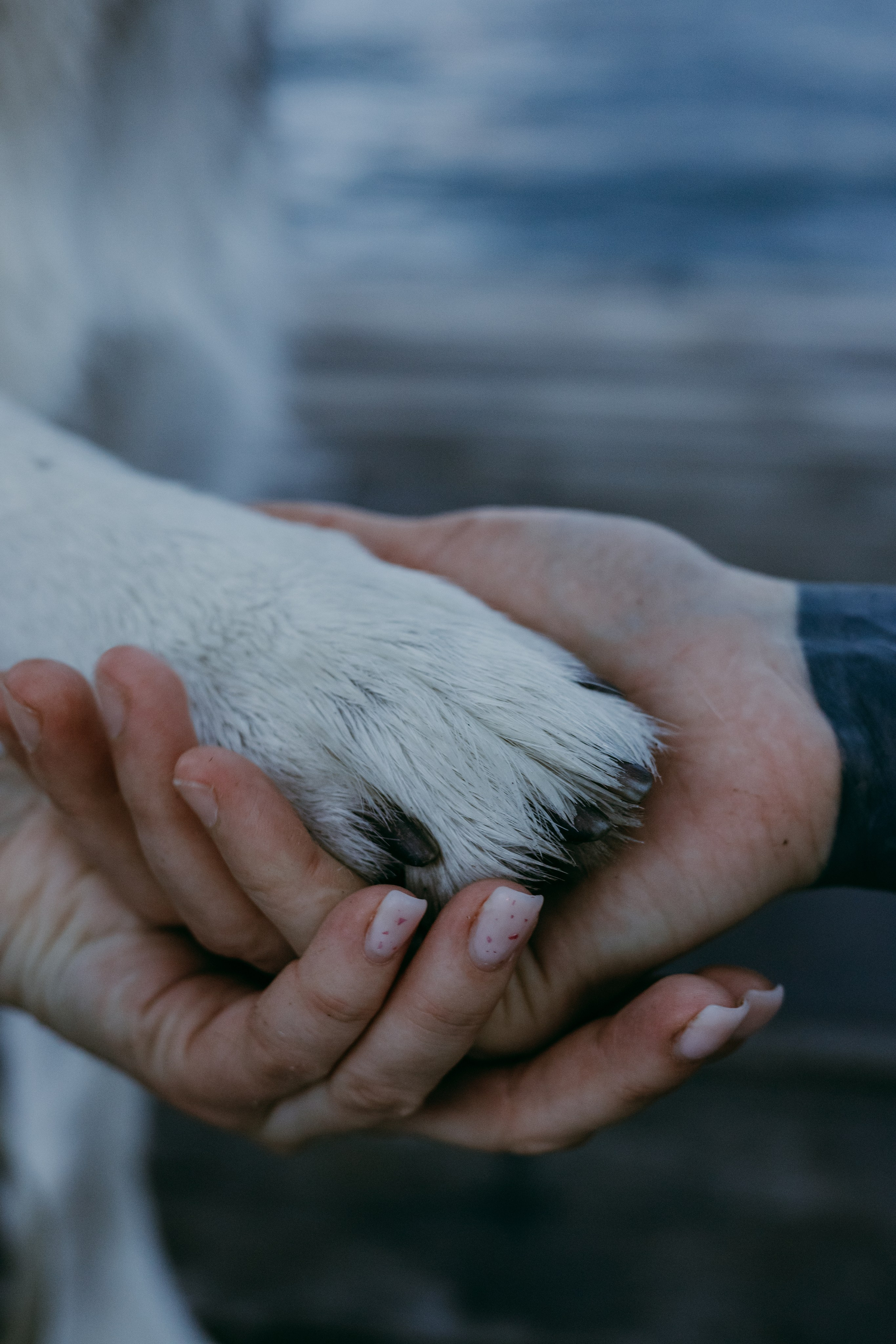 Oksana. Iryna Zhyvora | Photographer | Stockholm