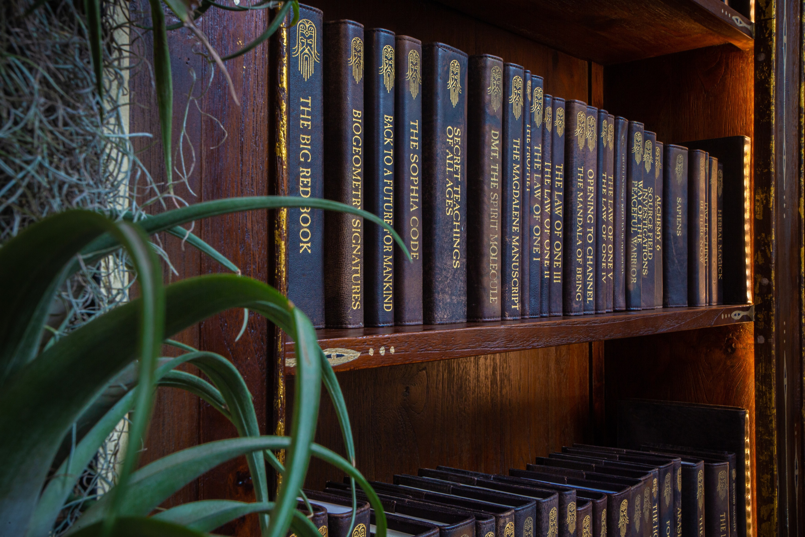 Интерьерная съёмка для отелей и ресторанов. Индивидуальный и парный фотограф на Бали — Bali Dream Photo