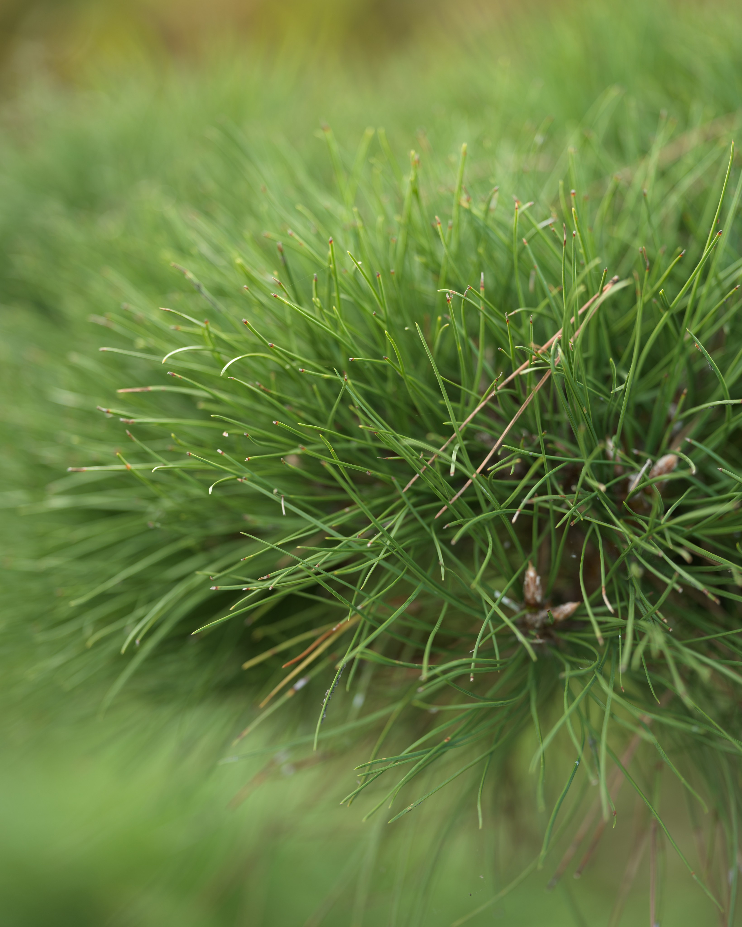 Travel. Visual artist | Fotograf | Stuttgart