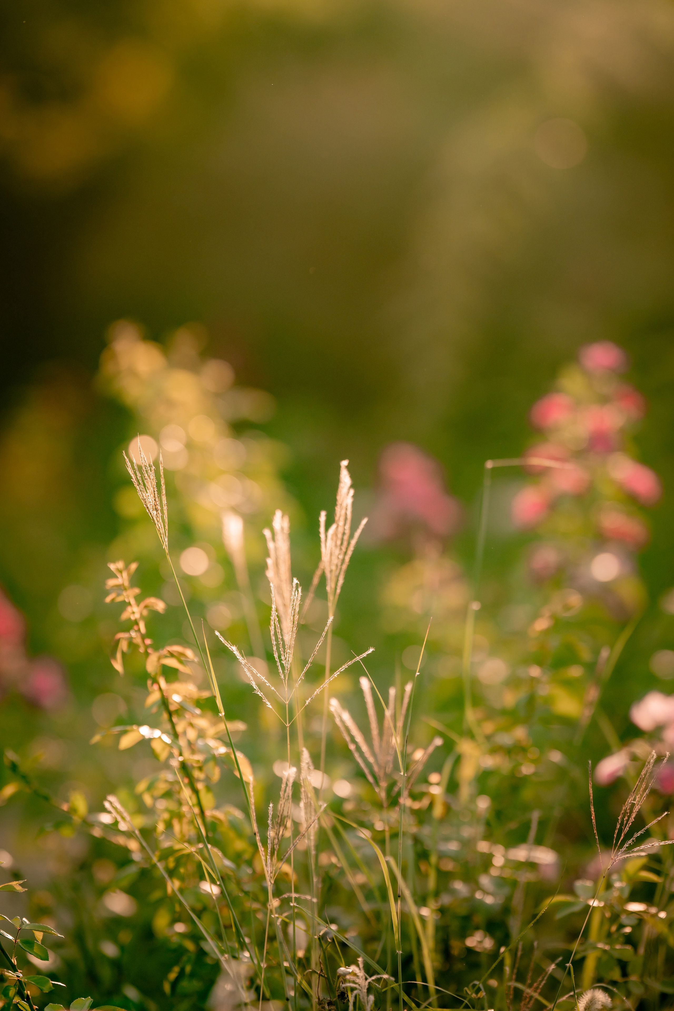 Fotograf Nuntă Editorial in Bucuresti – Eleganta si Imagini Premium