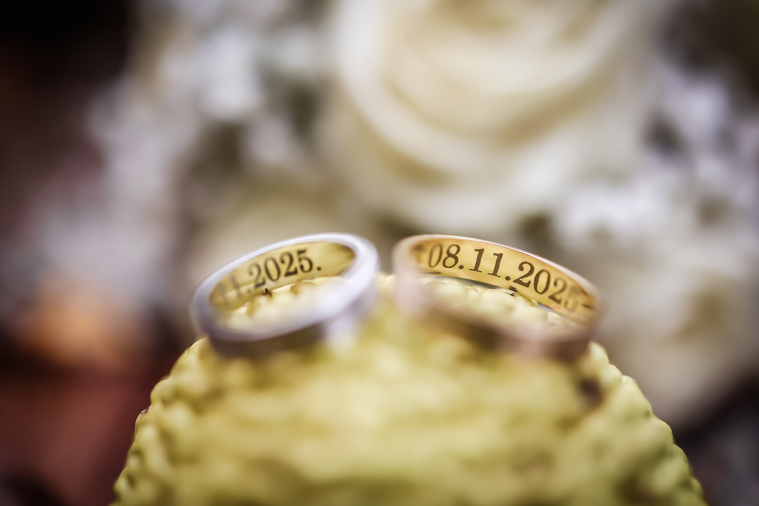 Višnja & Maksim-Zrenjanin. ZORAN TORĐAN — FOTOGRAF I VIDEO PRODUCENT Zrenjanin