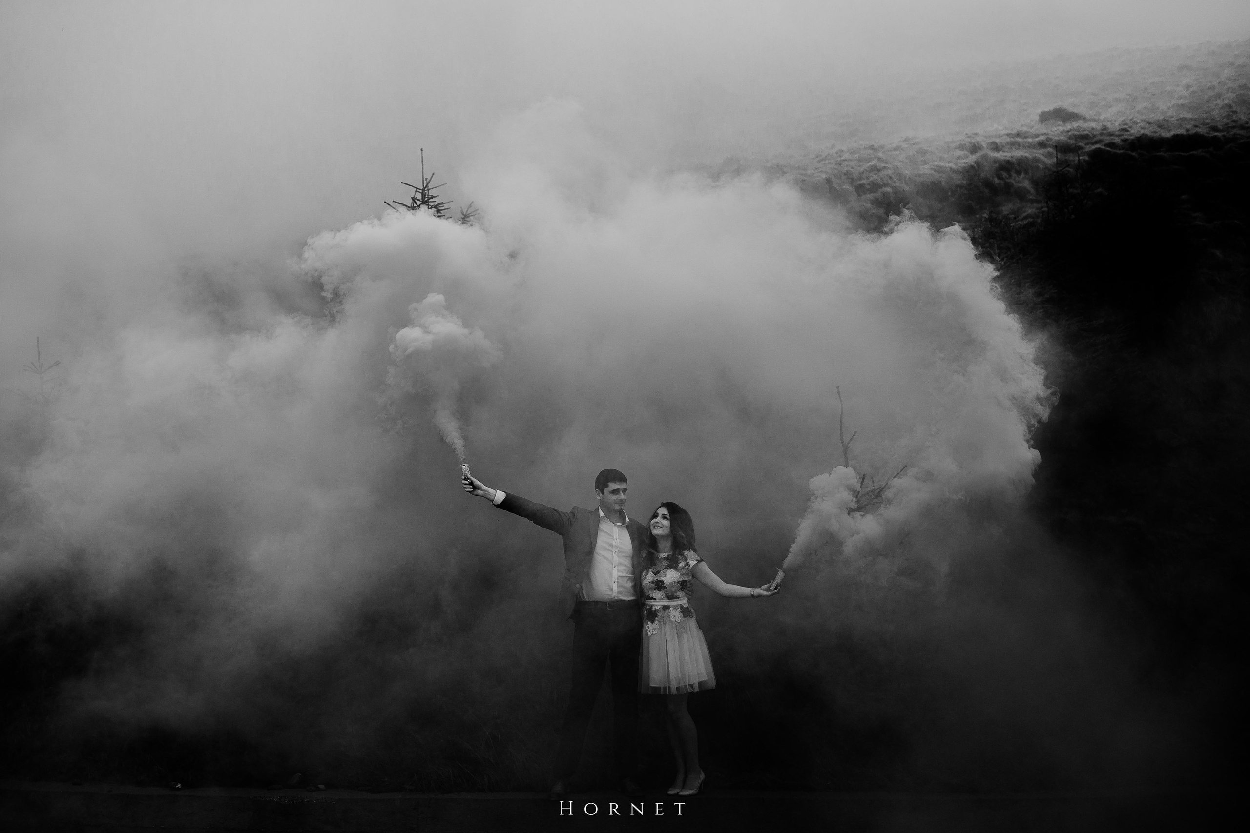 Alina + Dani. Hornetart